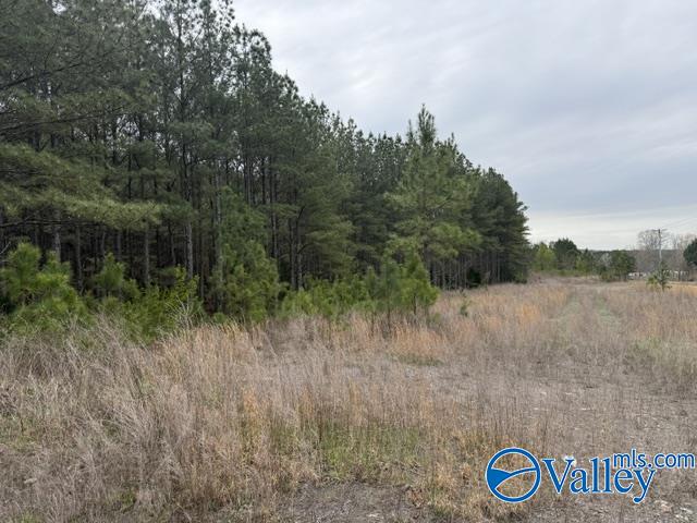 90 County Road 153