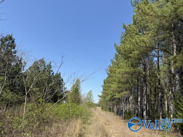 90 County Road 153