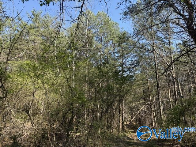 90 County Road 153