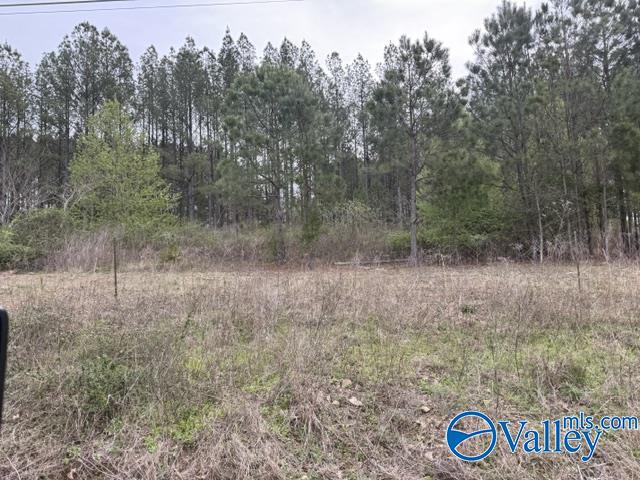90 County Road 153