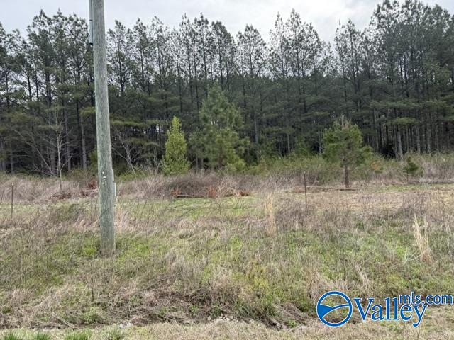 90 County Road 153