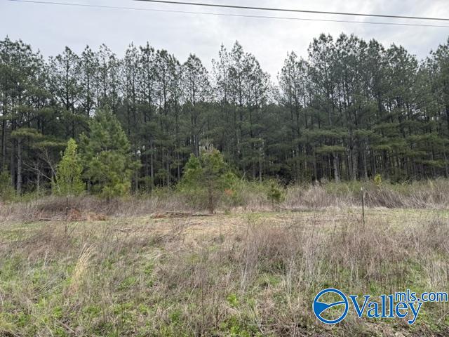19.6 County Road 153