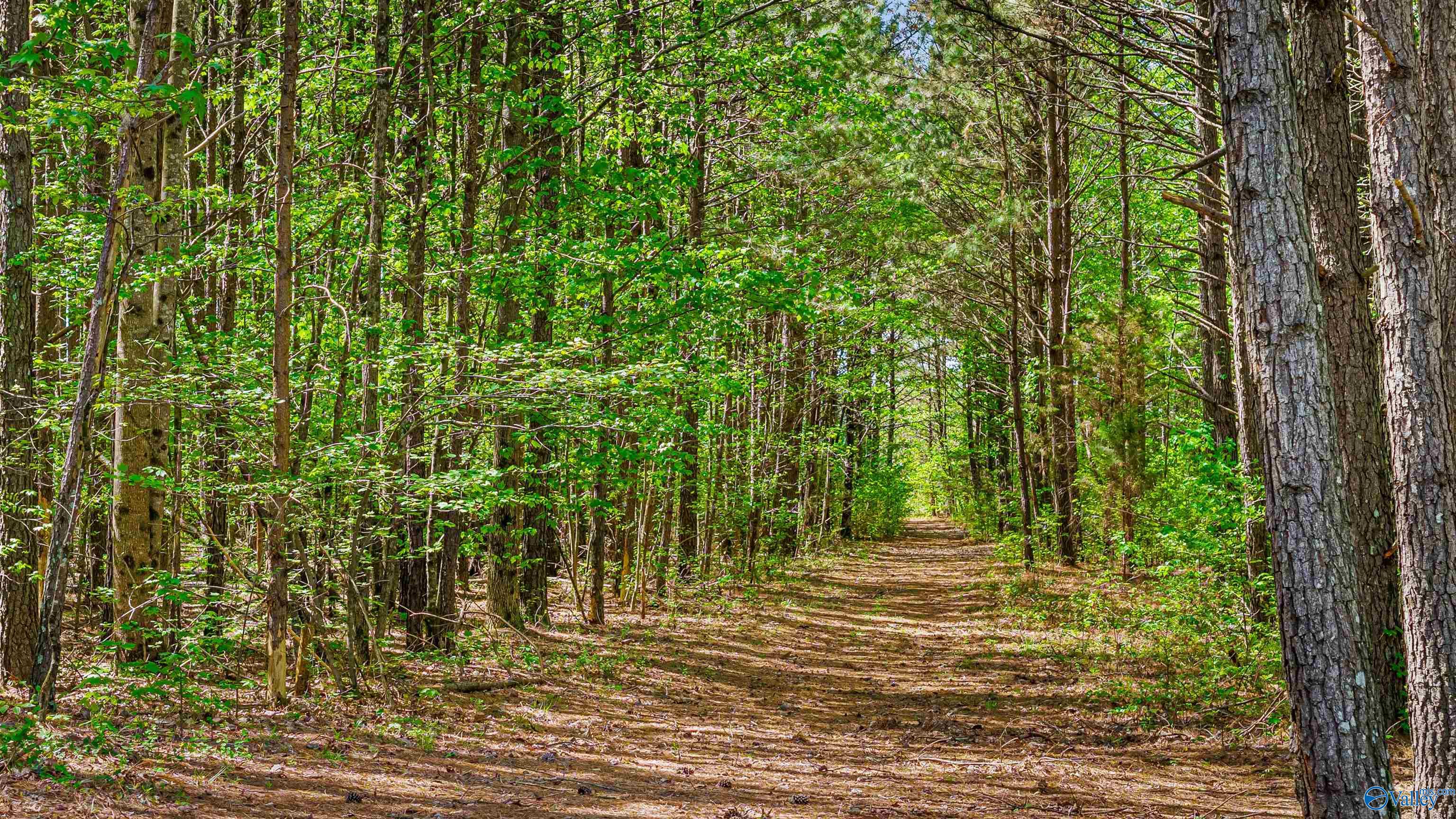3341 County Road 107