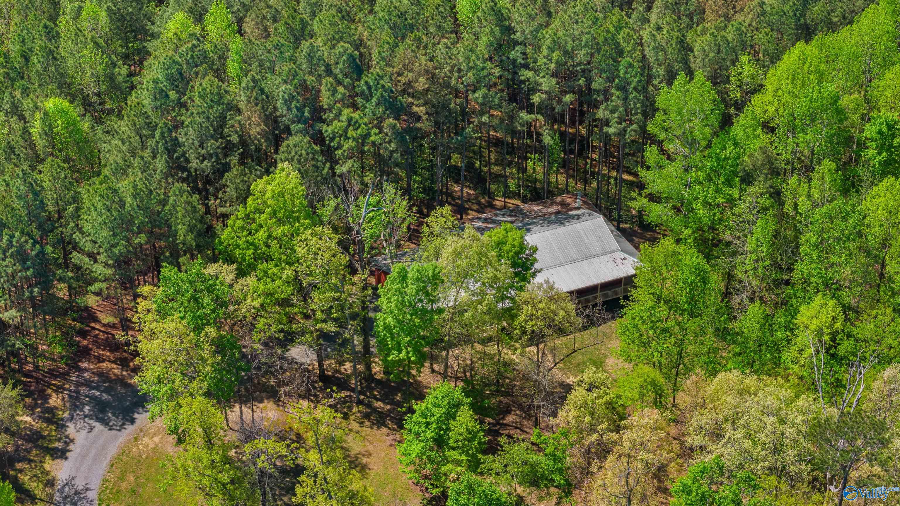 3341 County Road 107