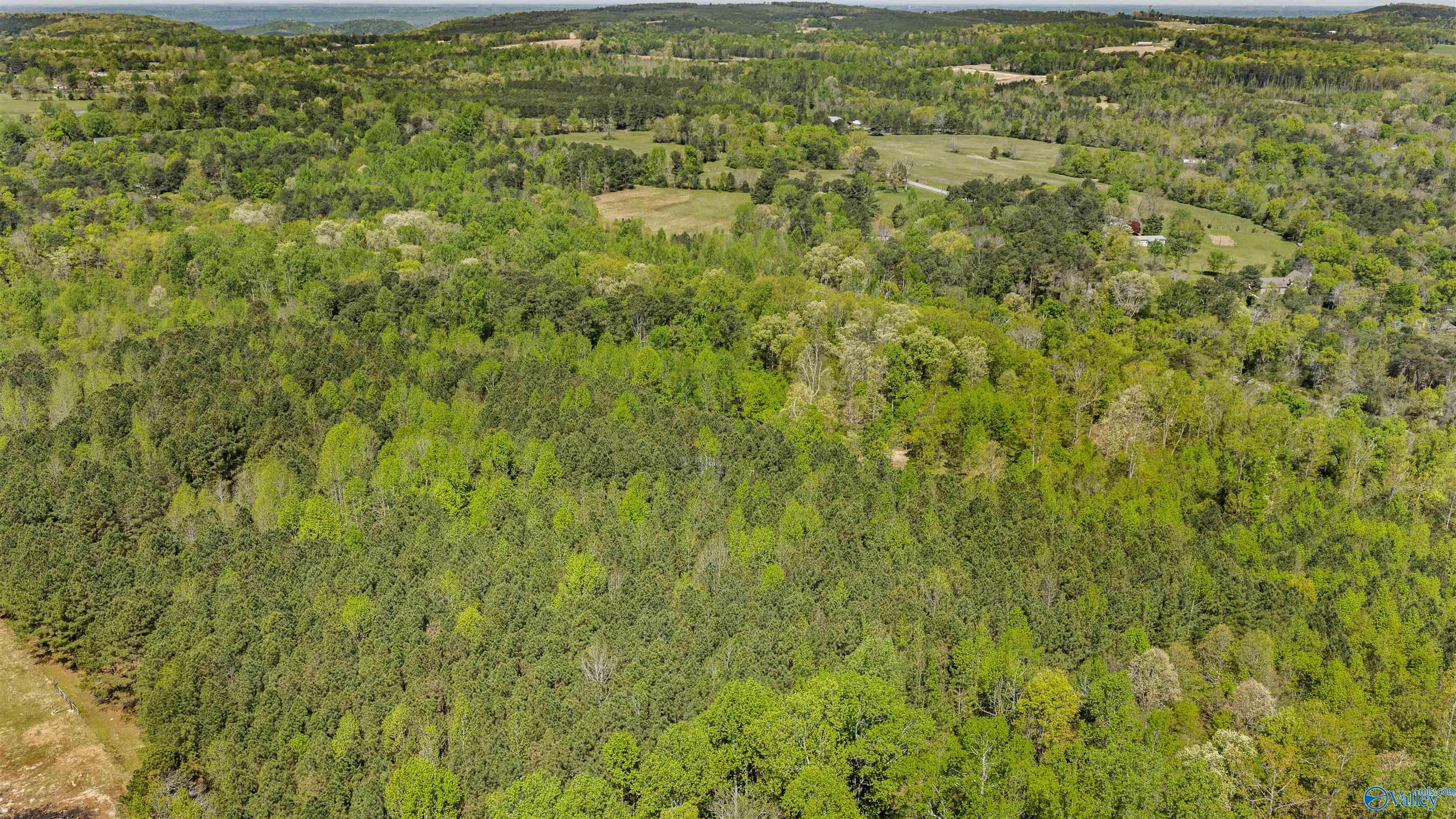 3341 County Road 107