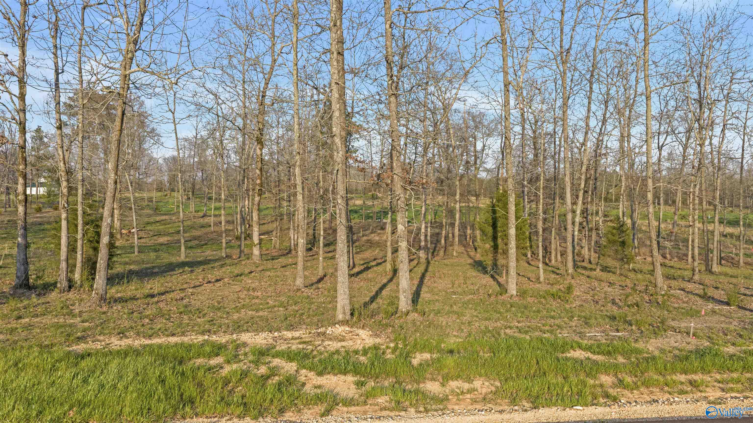 Lot 28 Garrett Street