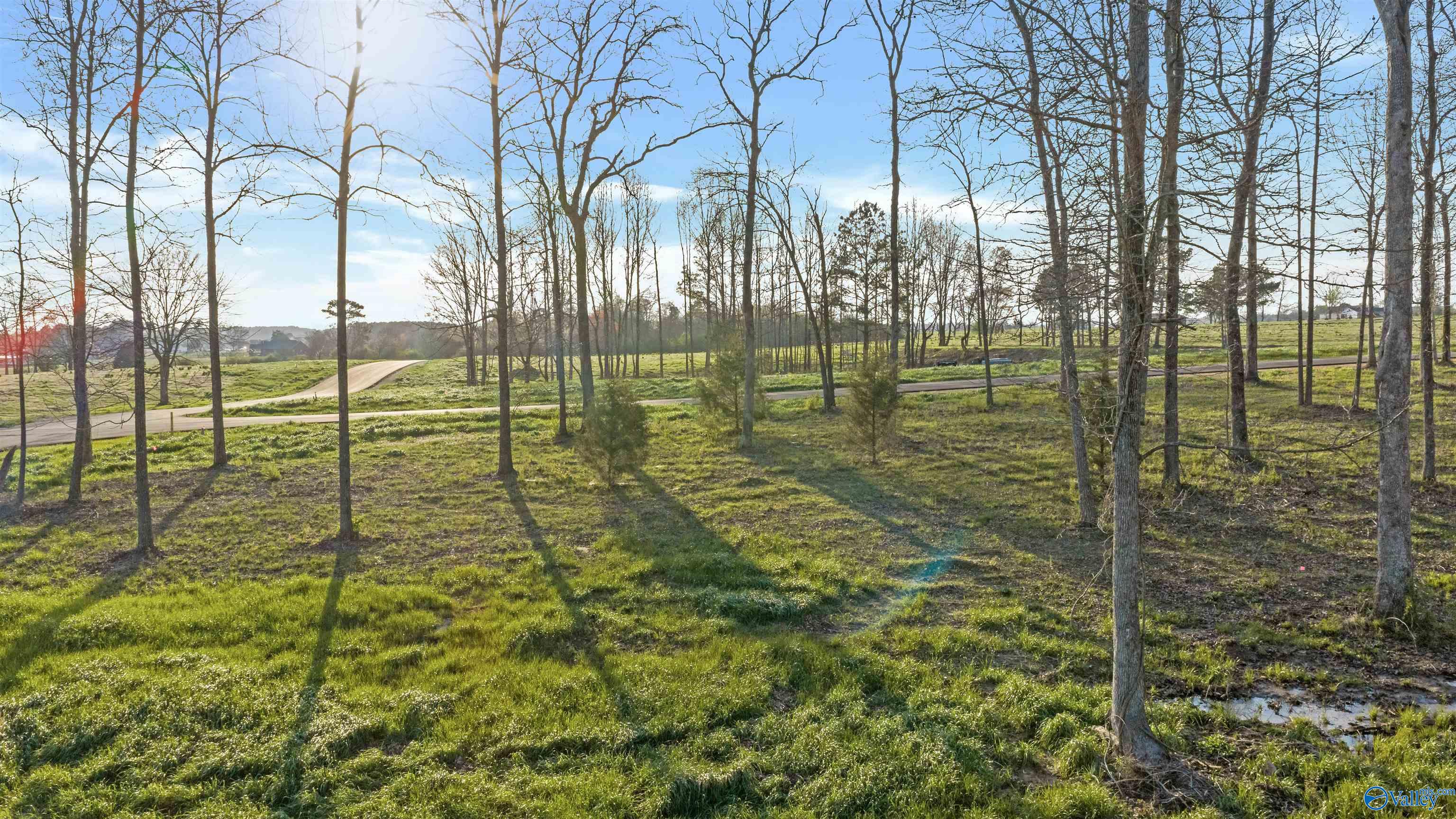 Lot 29 Garrett Street