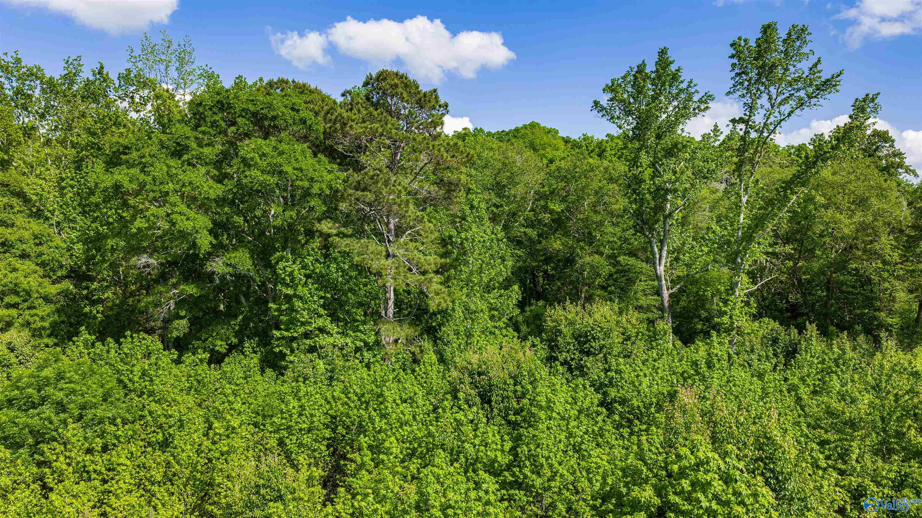 Lot 9-11 Brush Creek Drive