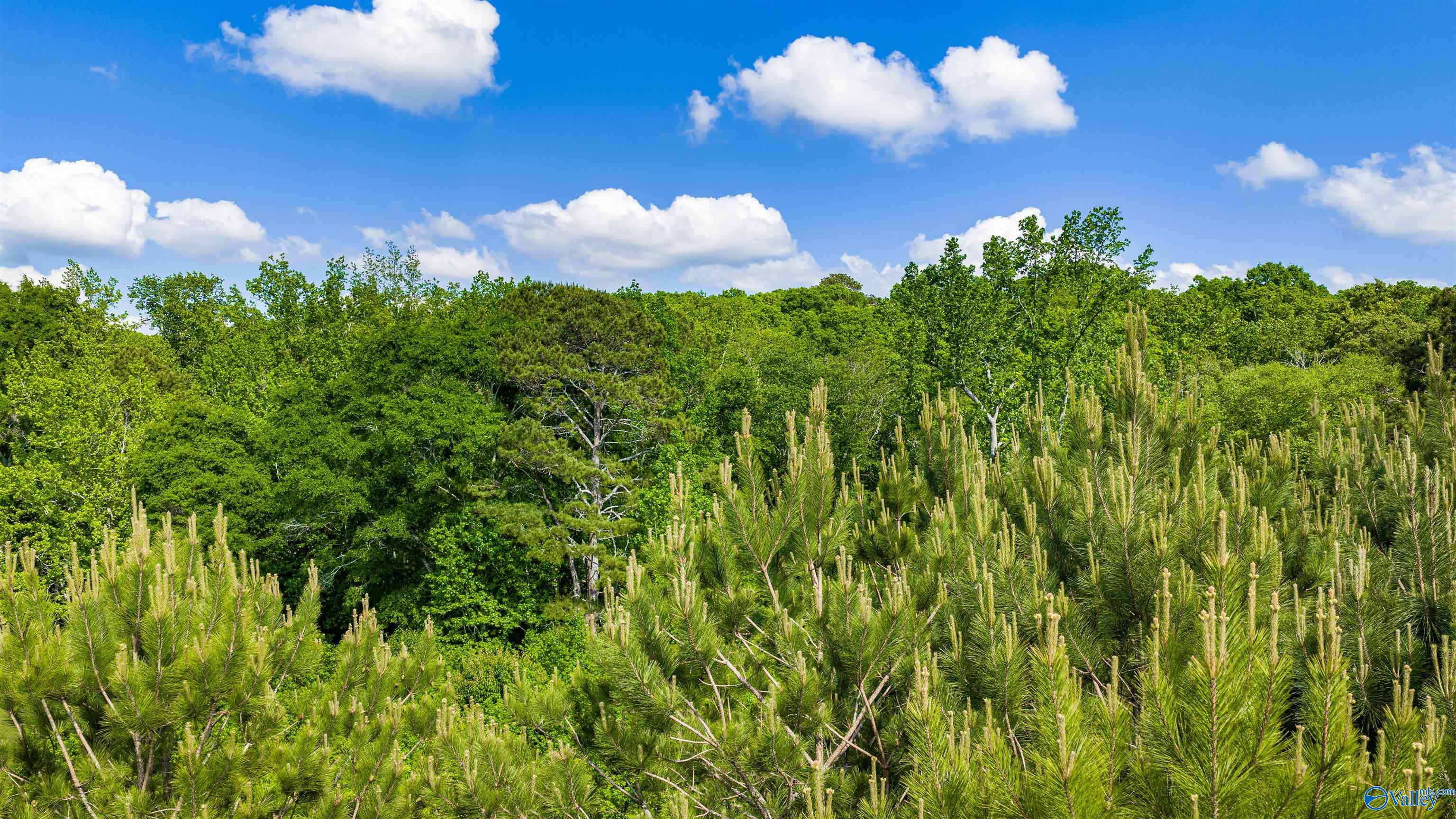 Lot 9-11 Brush Creek Drive