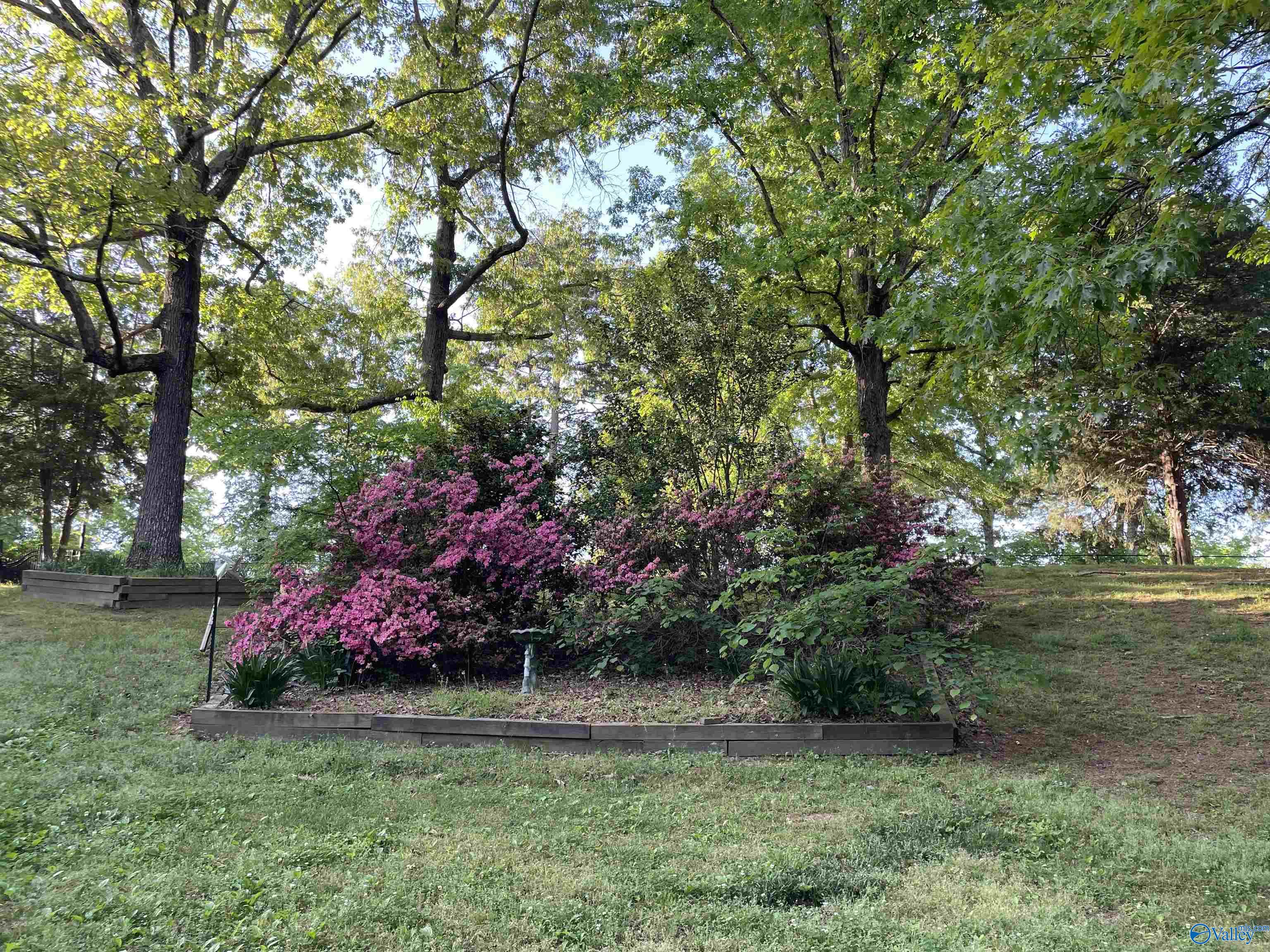 595 County Road 40