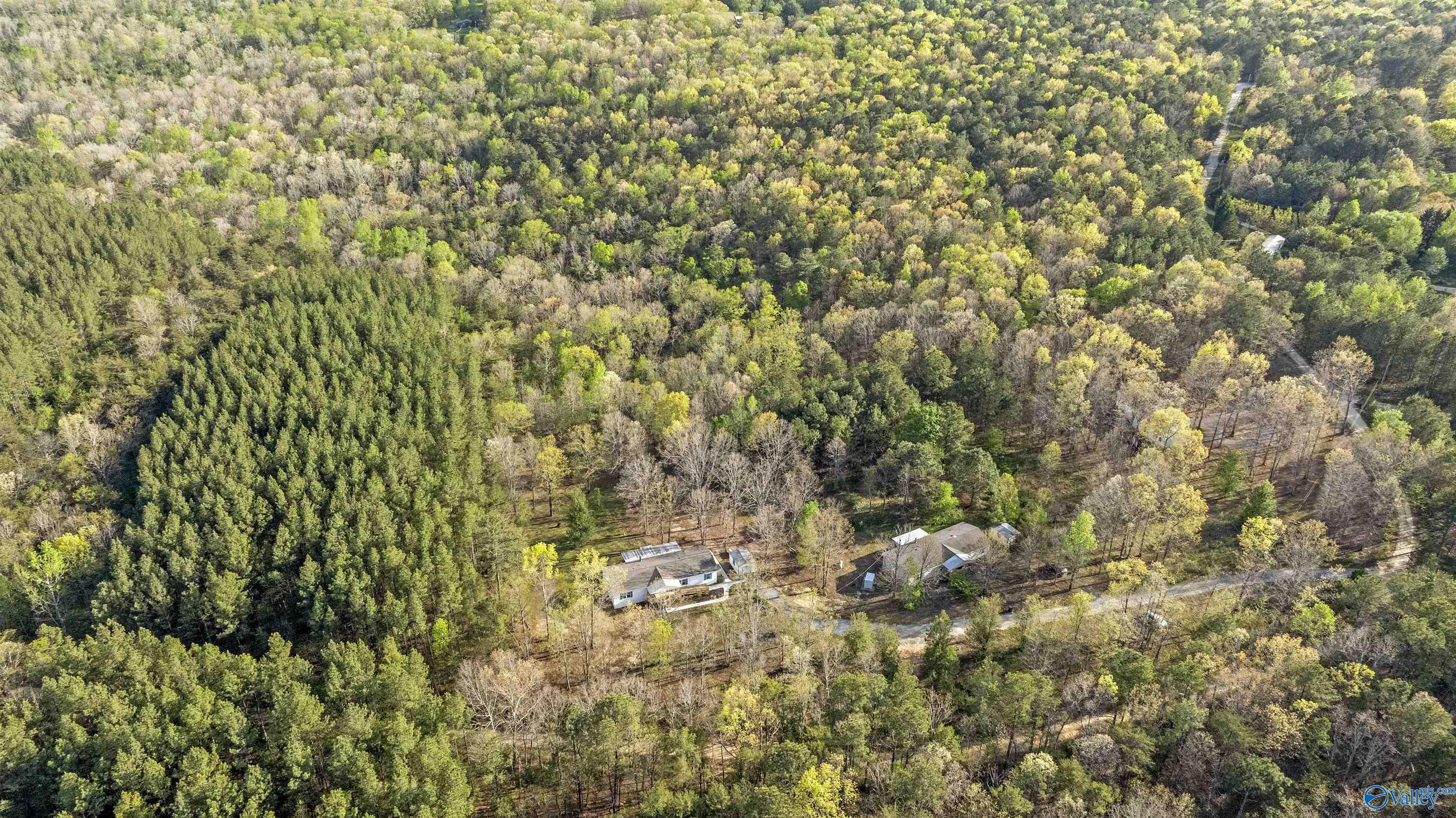 386 County Road 520