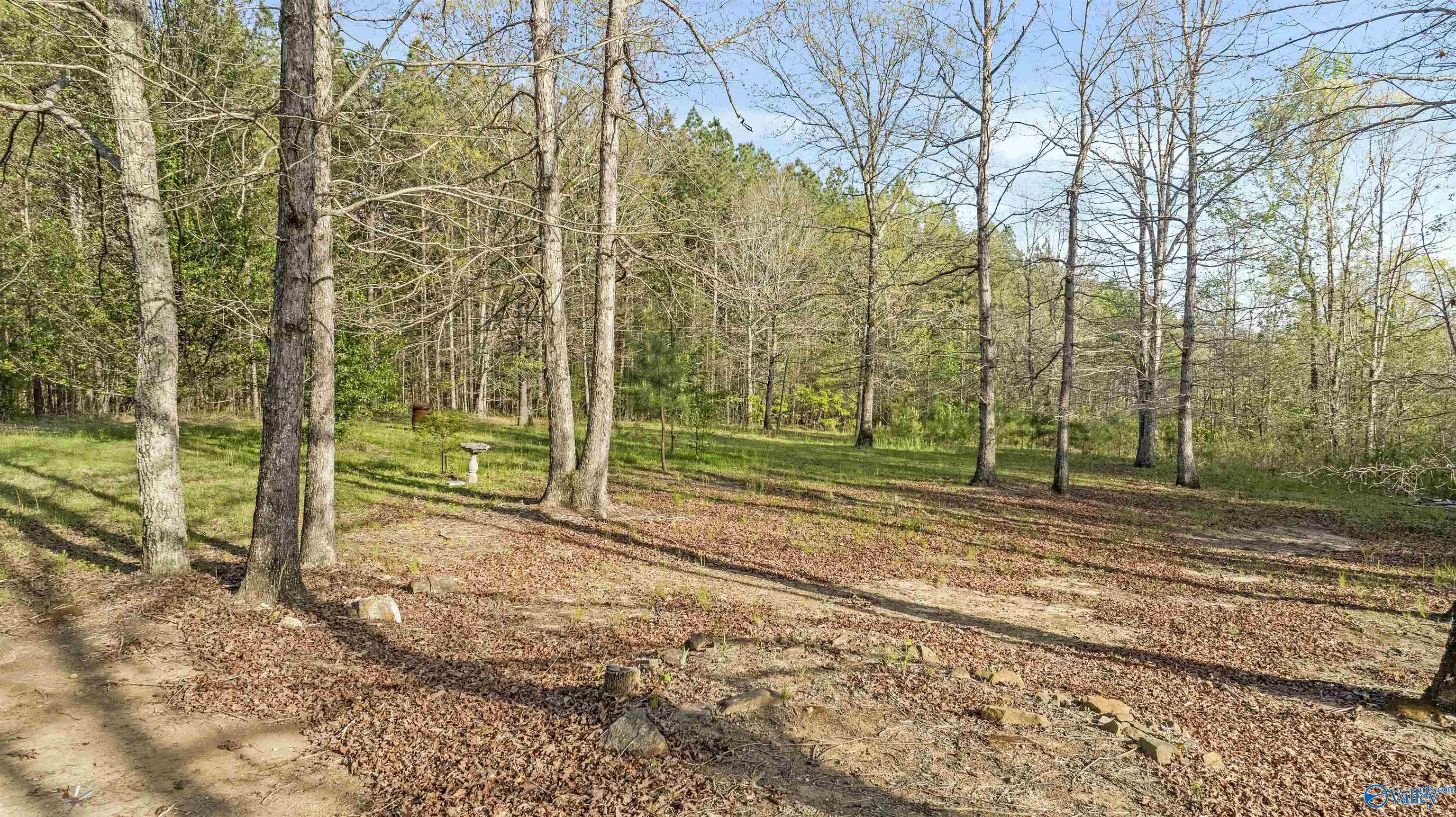 386 County Road 520