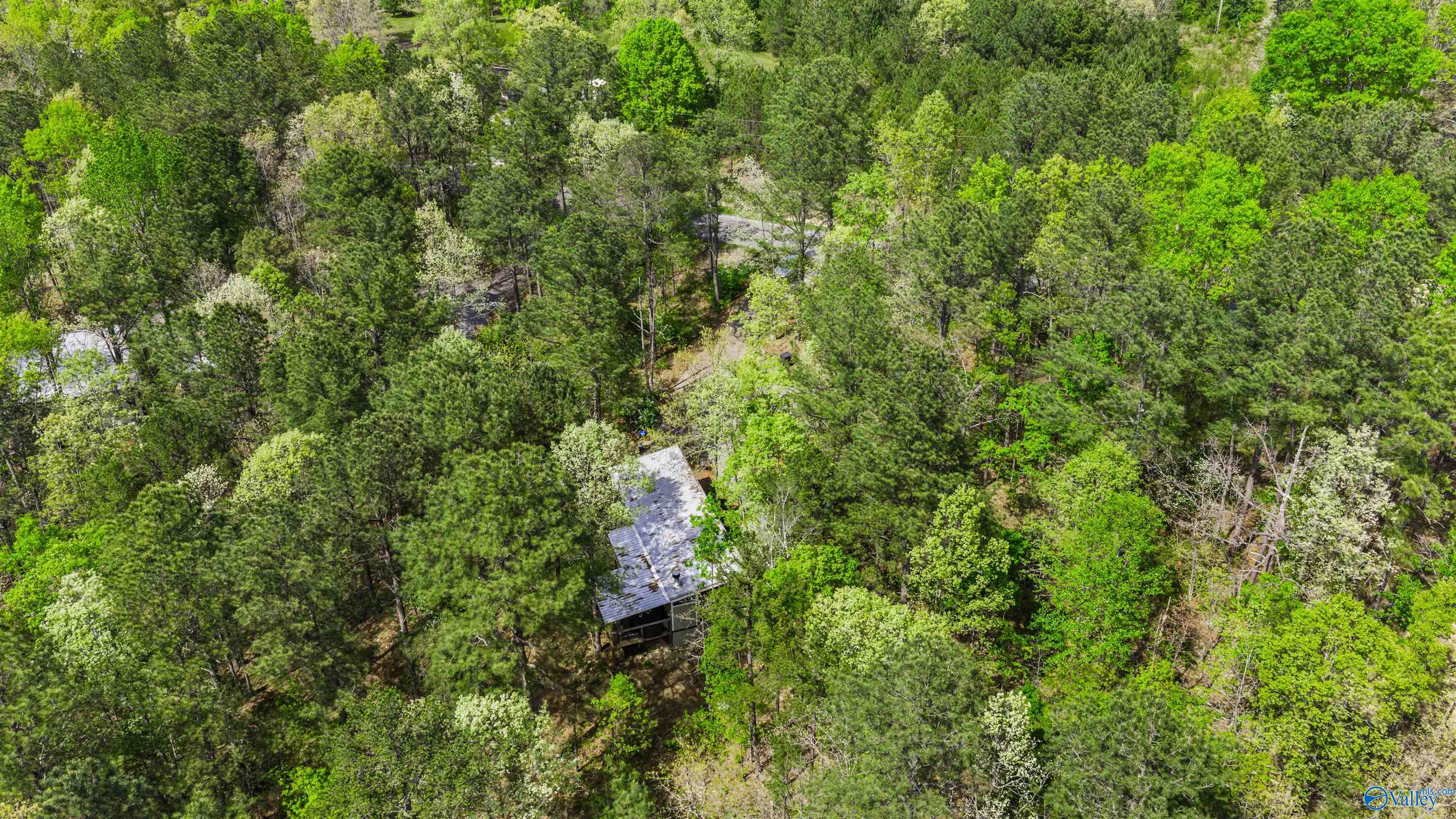 656 County Road 642