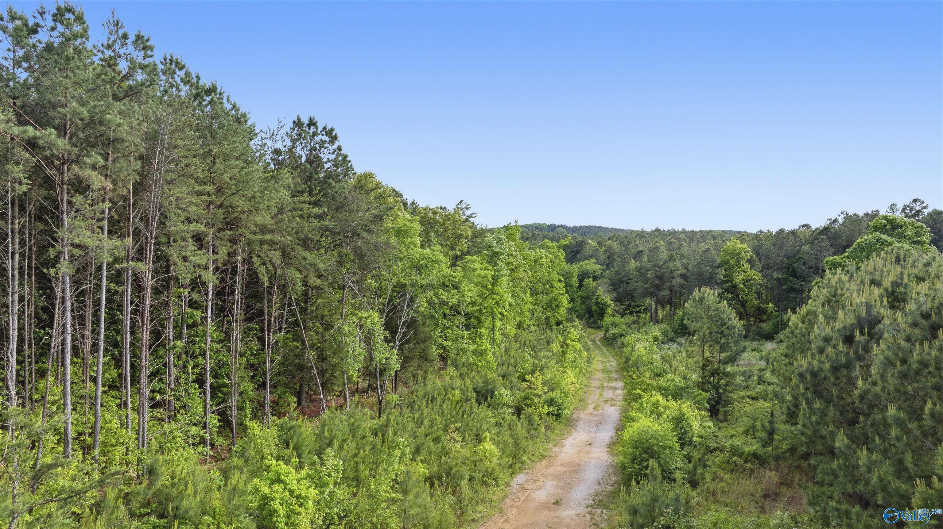 147.4 Wooten Gap Road