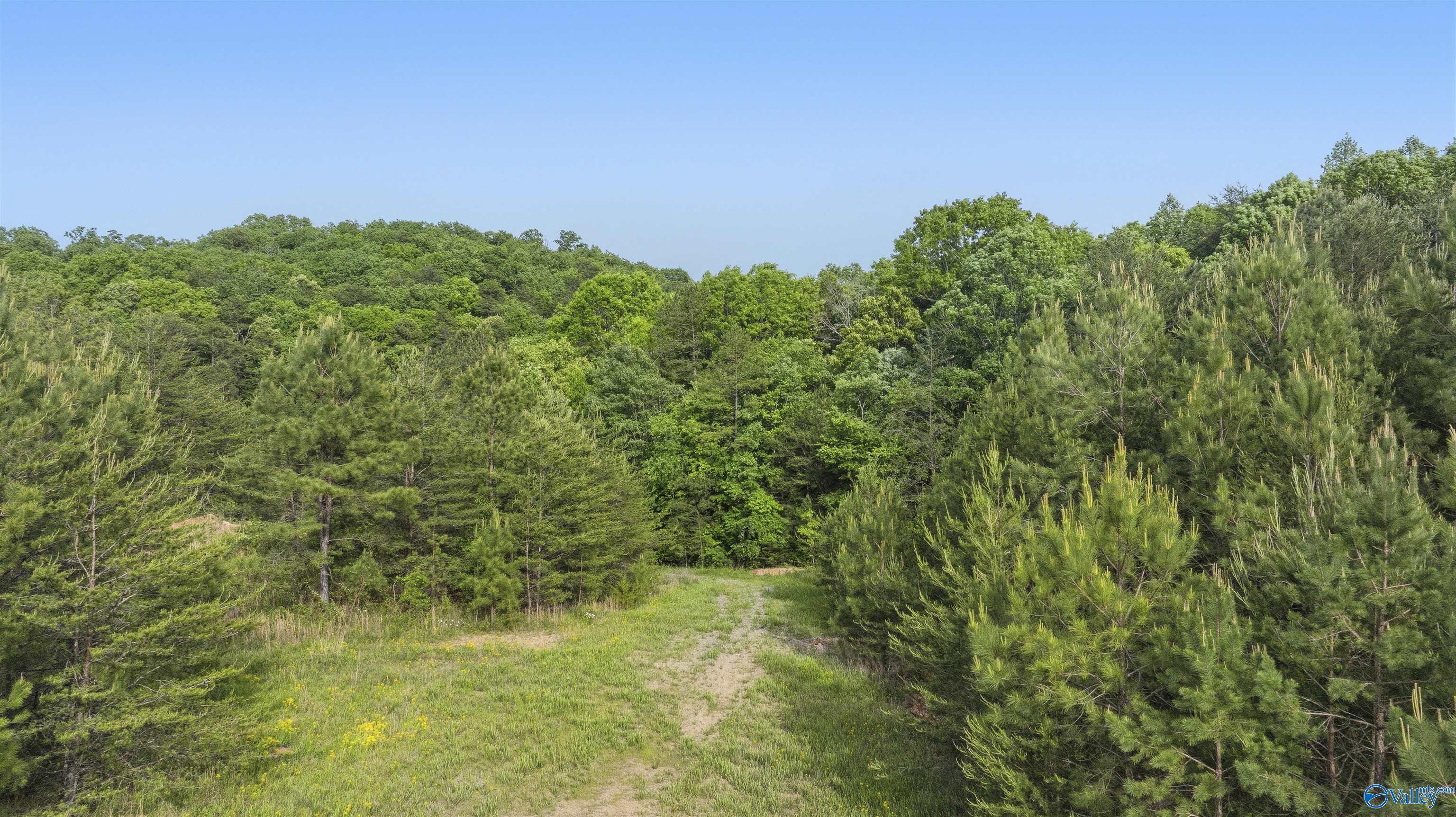 147.4 Wooten Gap Road