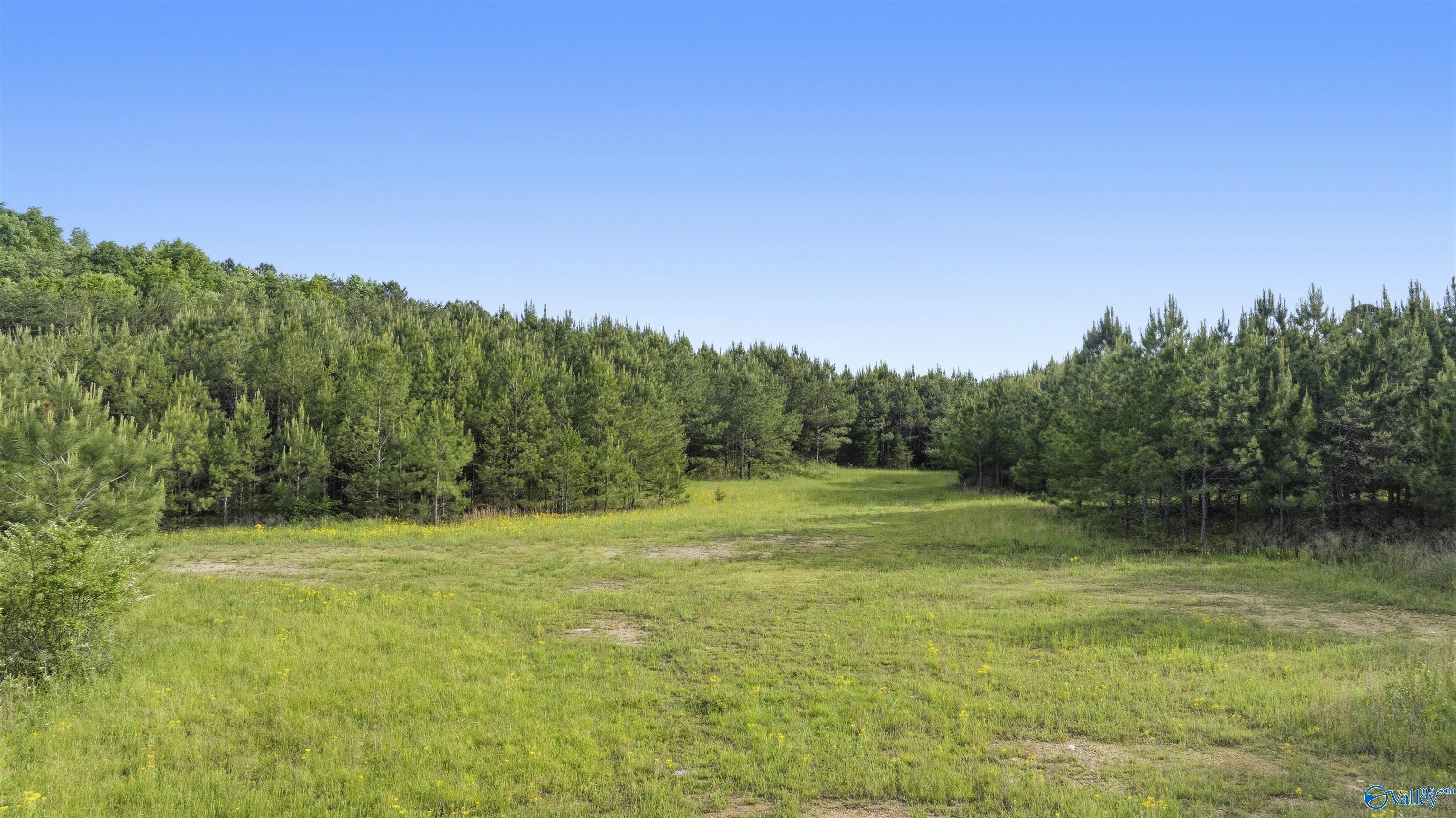 147.4 Wooten Gap Road