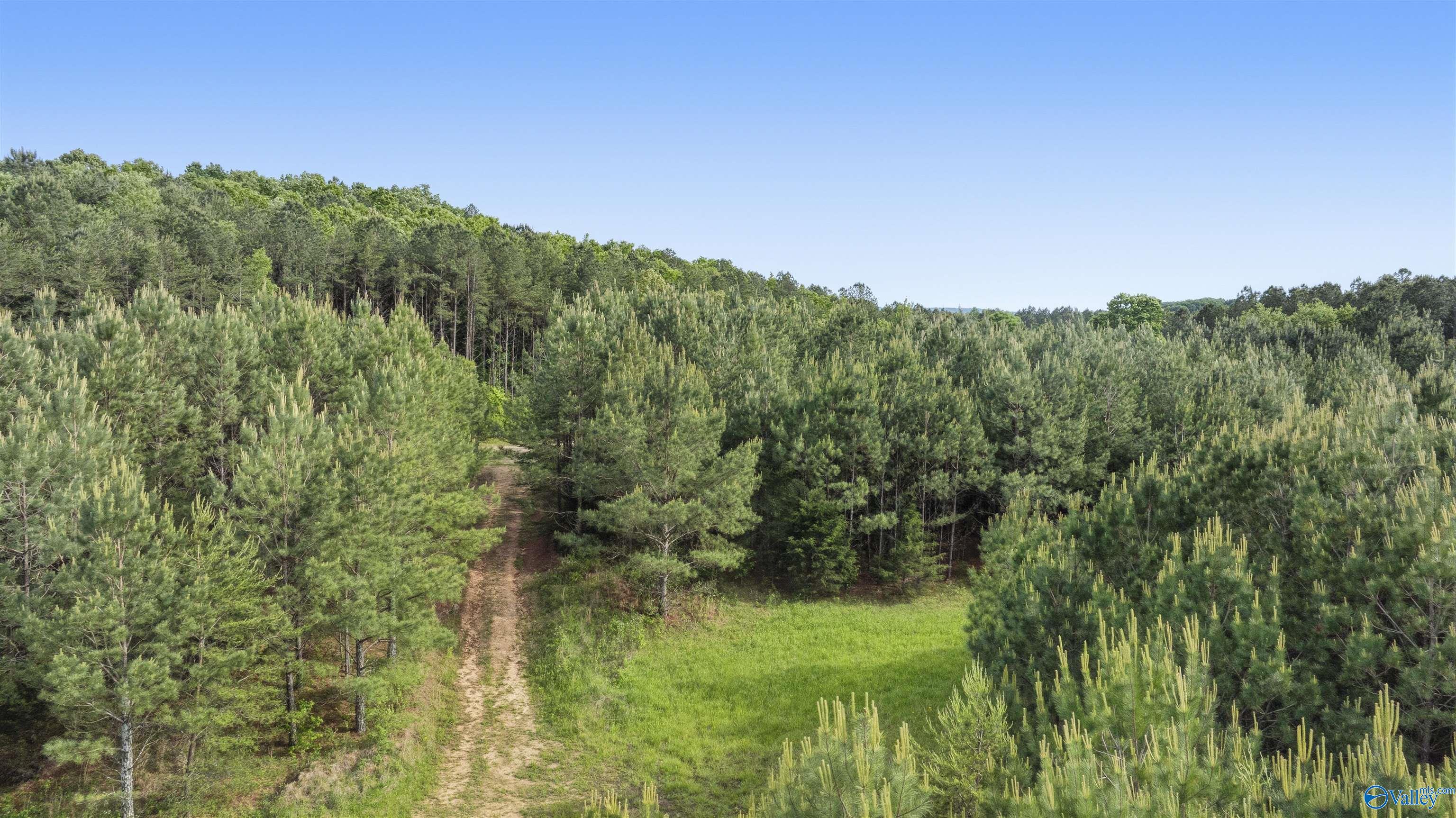 147.4 Wooten Gap Road