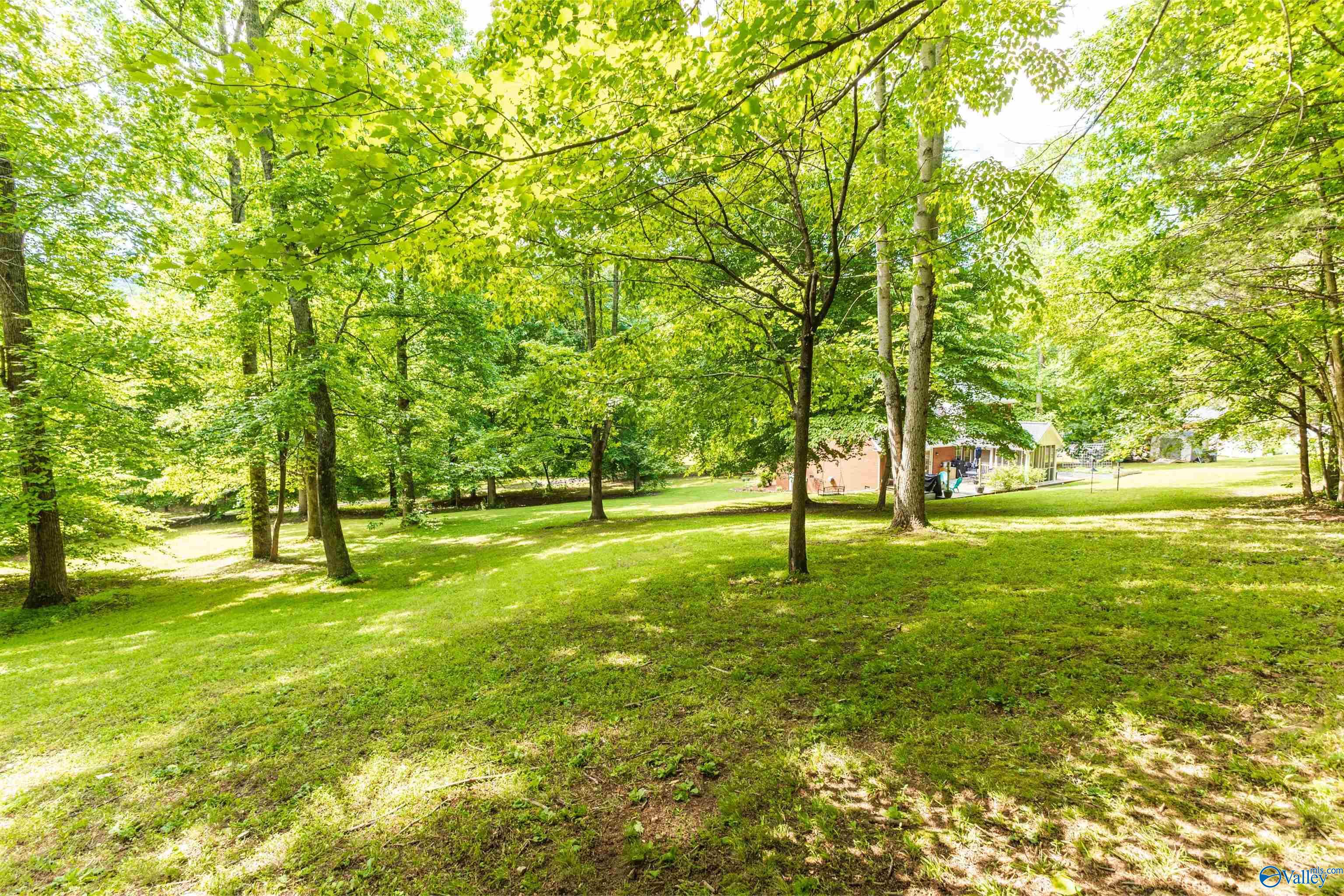 242 County Road 555