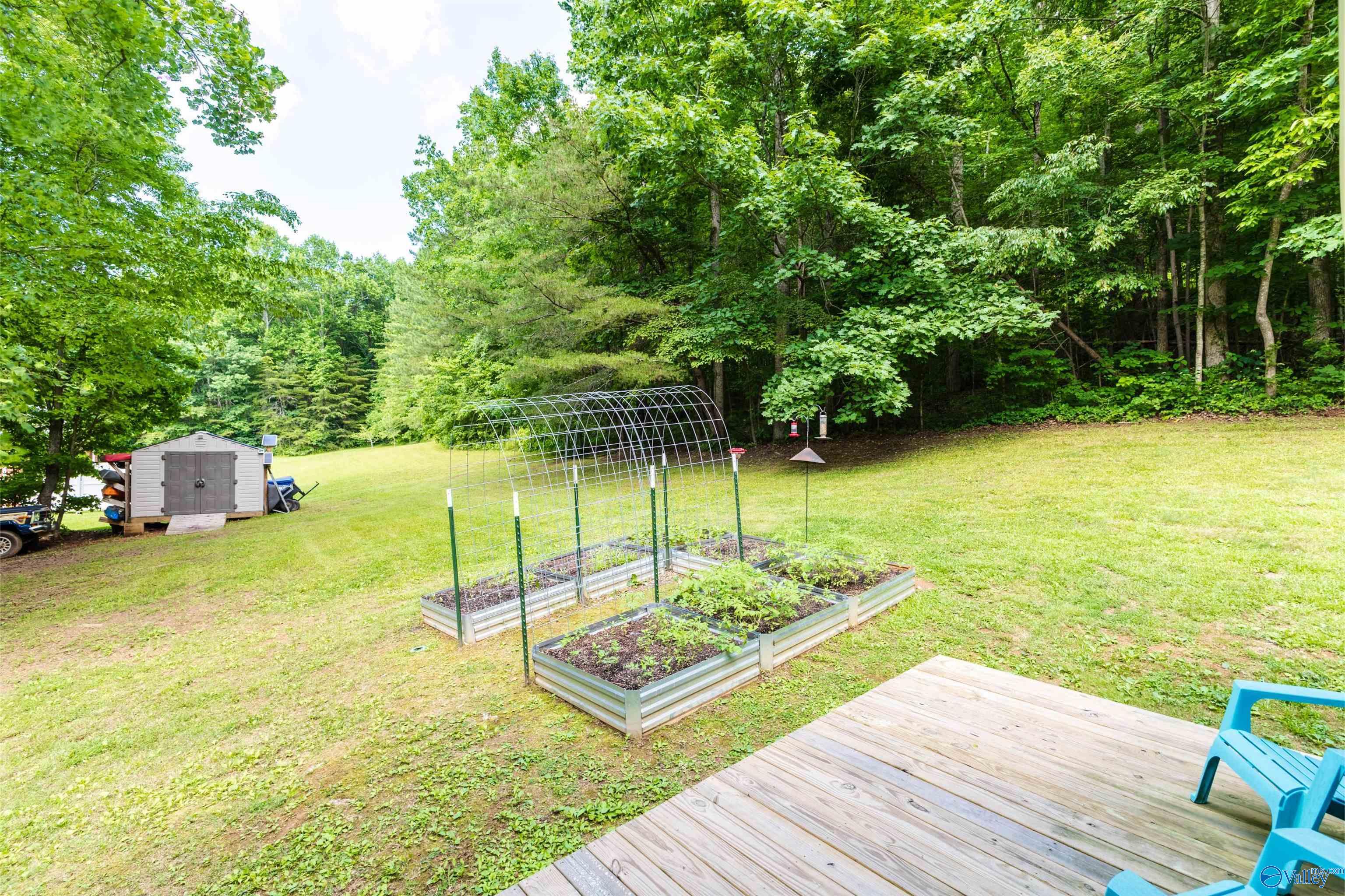 242 County Road 555
