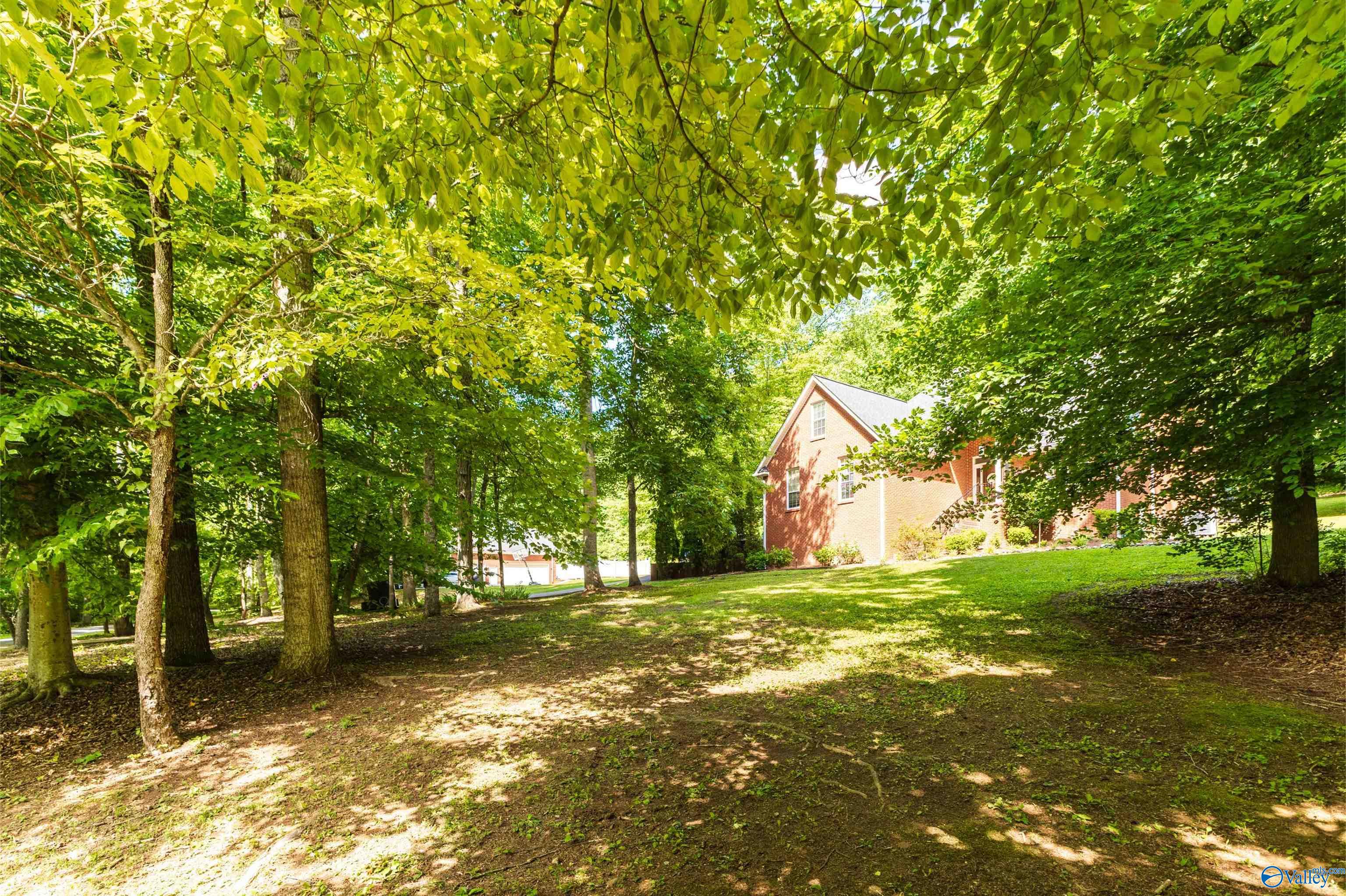 242 County Road 555
