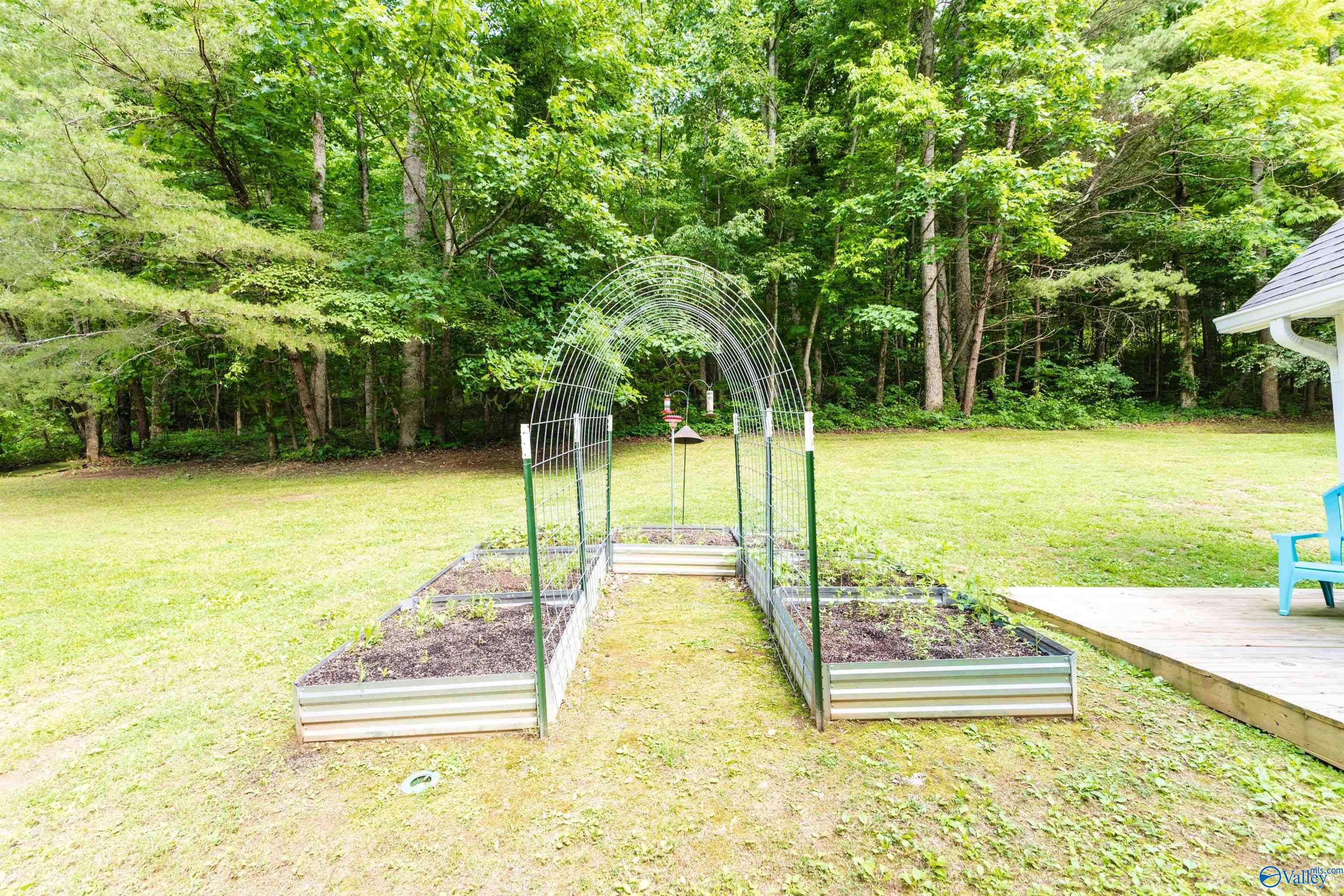 242 County Road 555