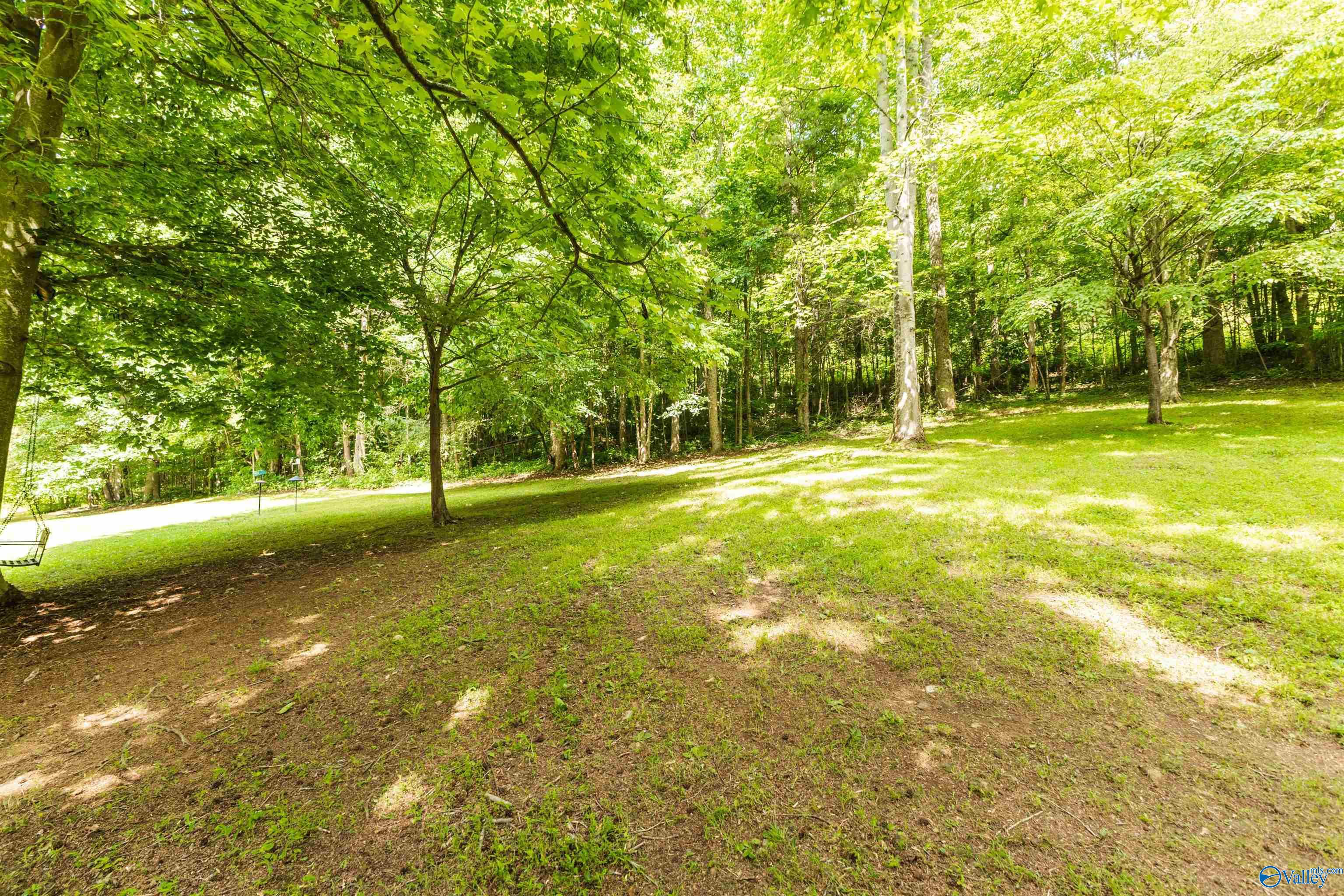 242 County Road 555