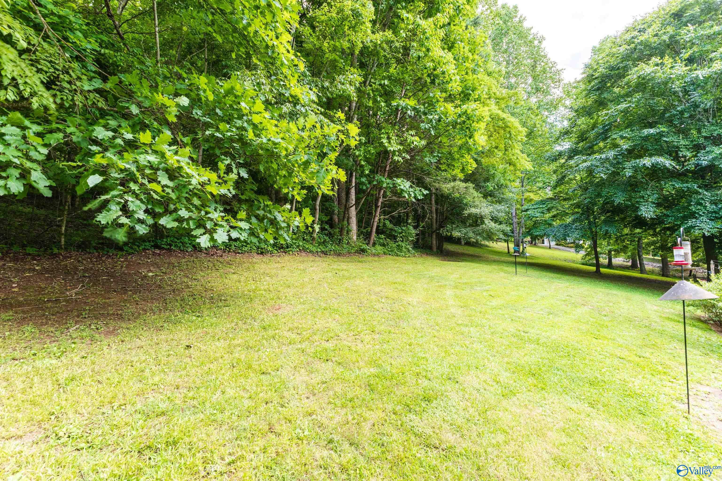 242 County Road 555