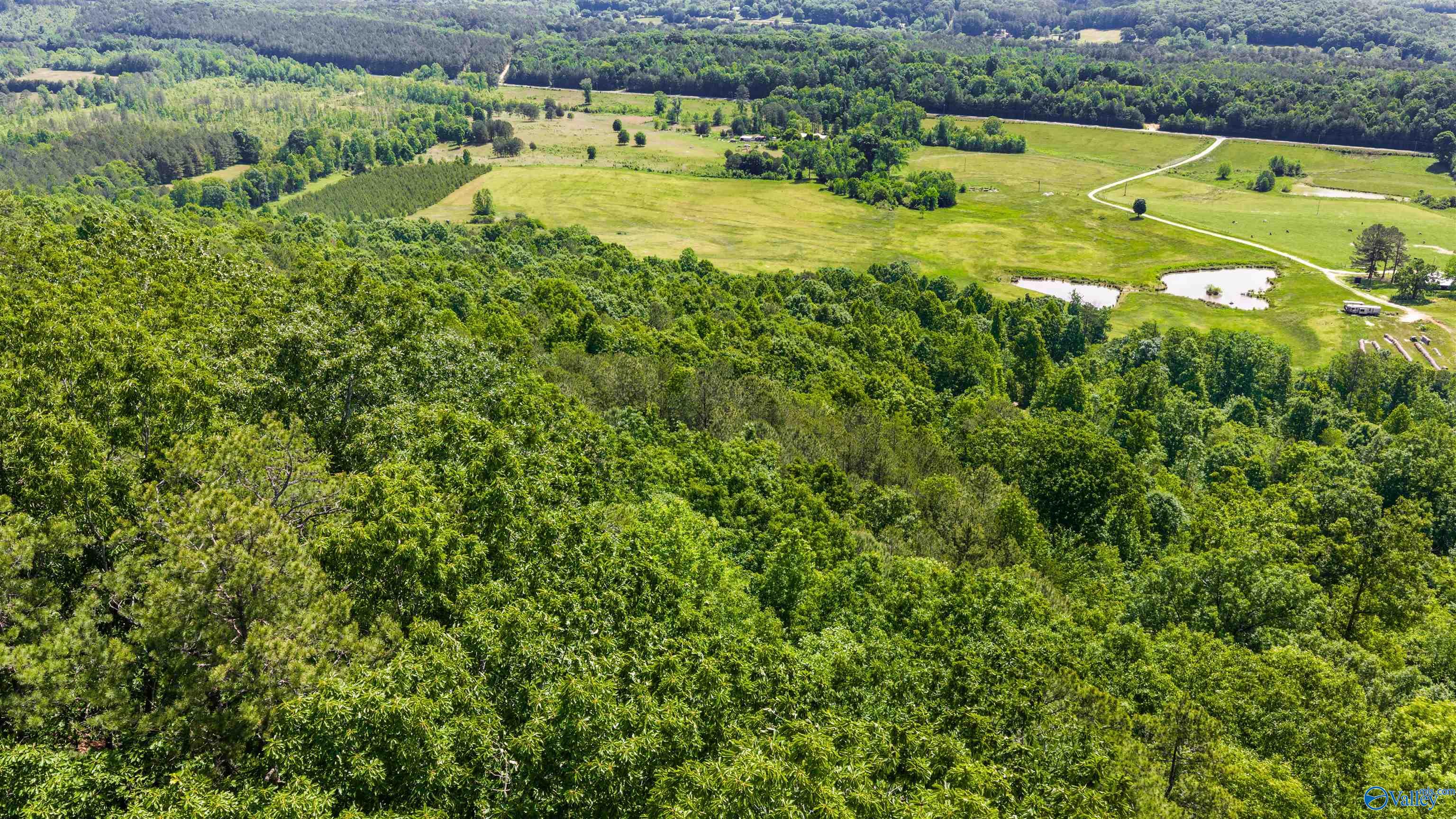 1048 County Road 730