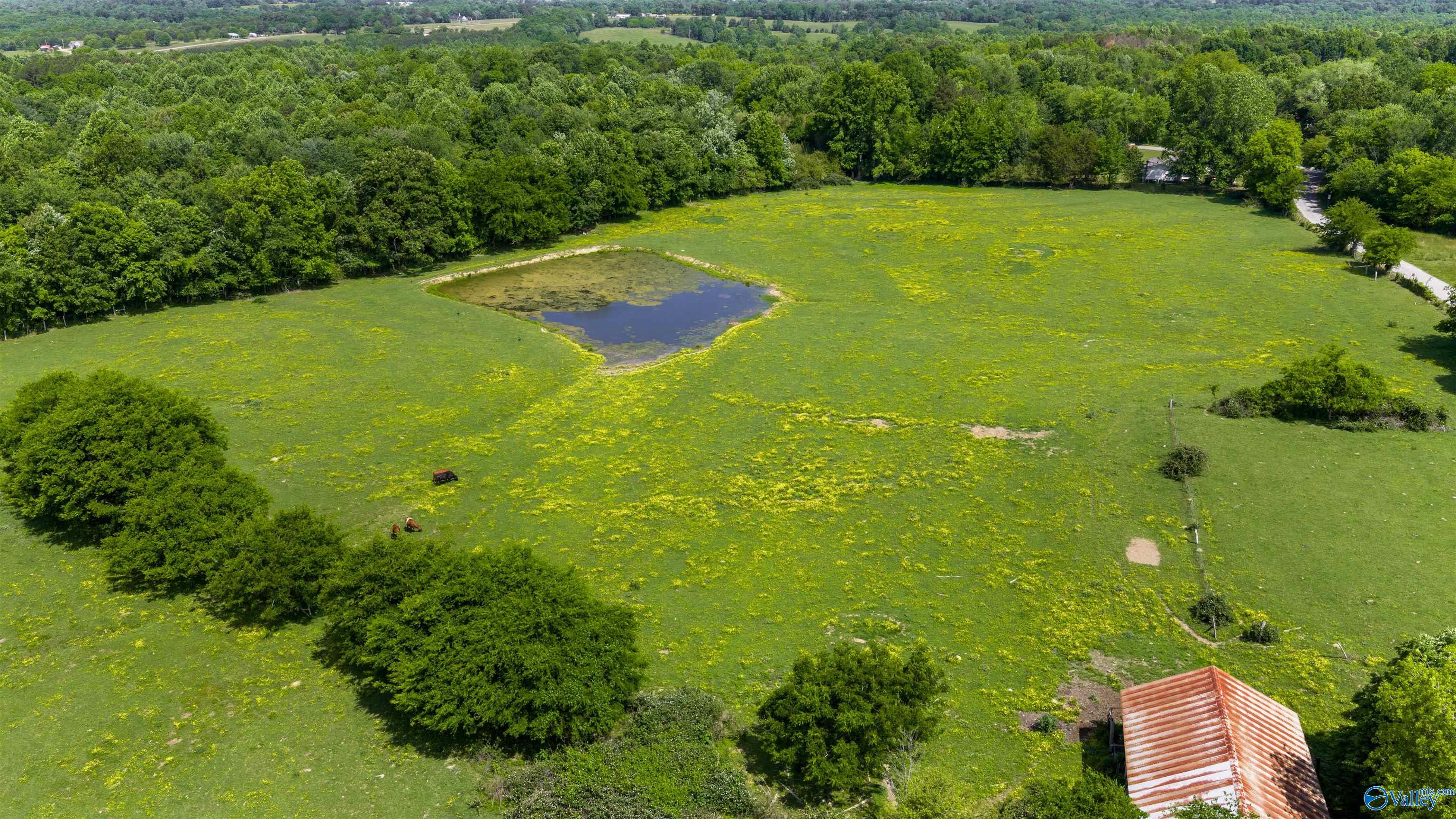 1048 County Road 730