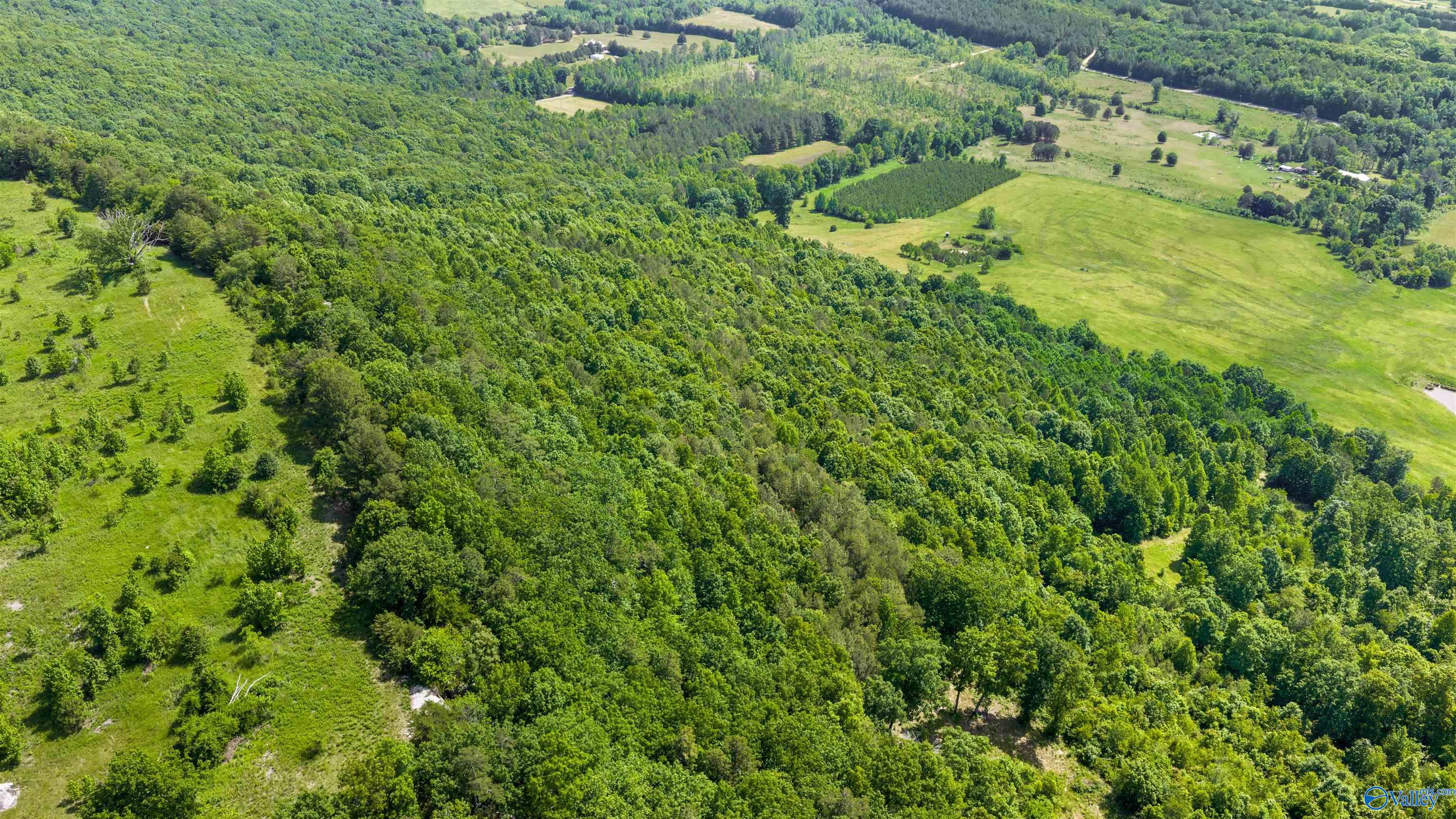 1048 County Road 730