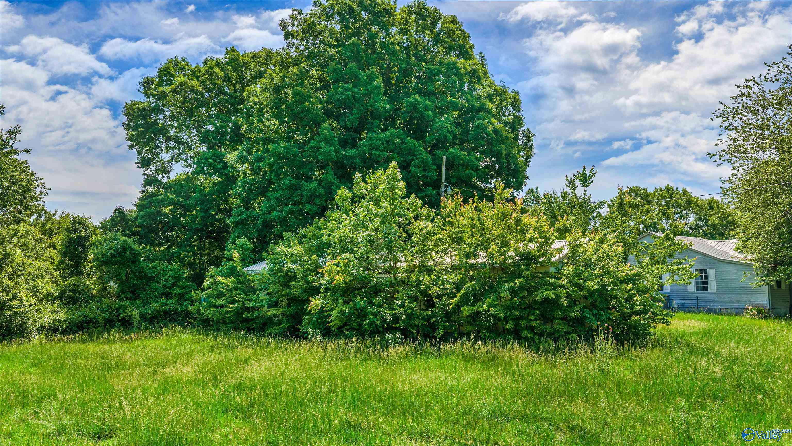 1048 County Road 730