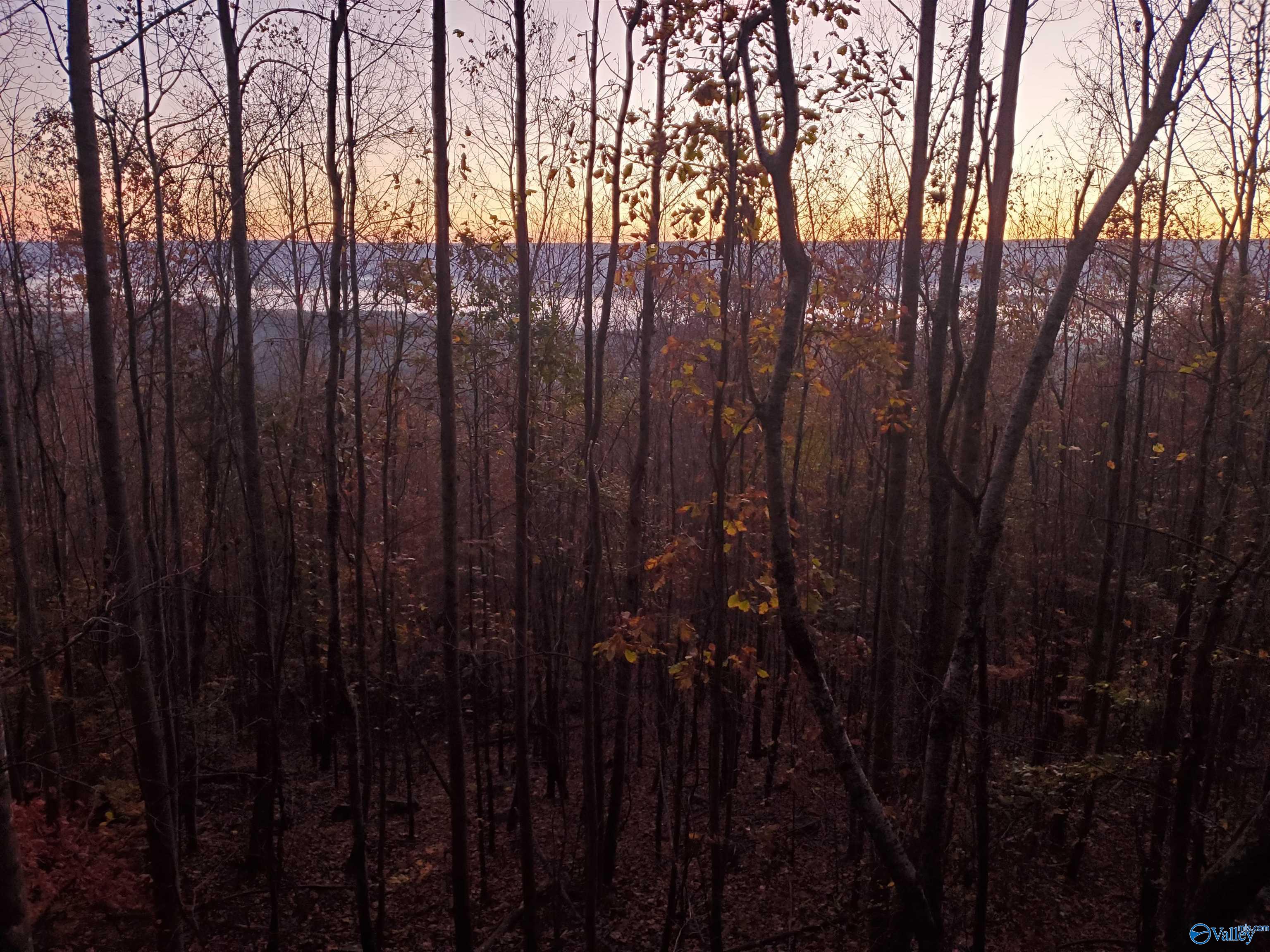 1048 County Road 730