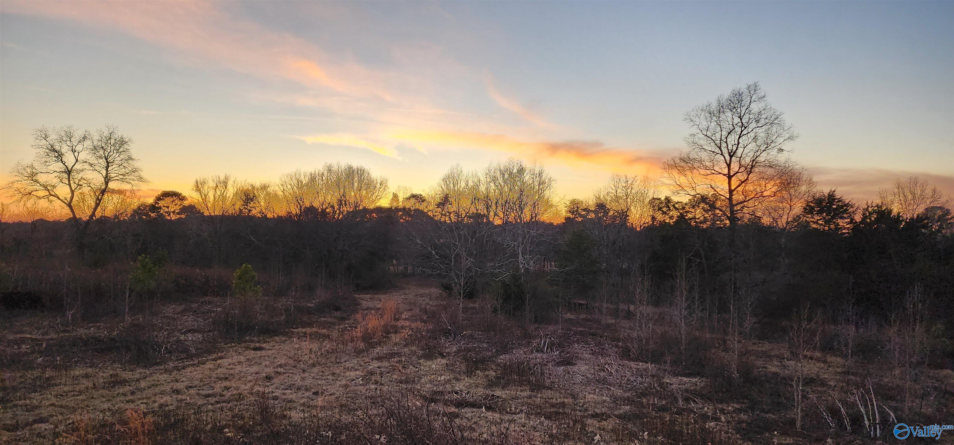 1048 County Road 730
