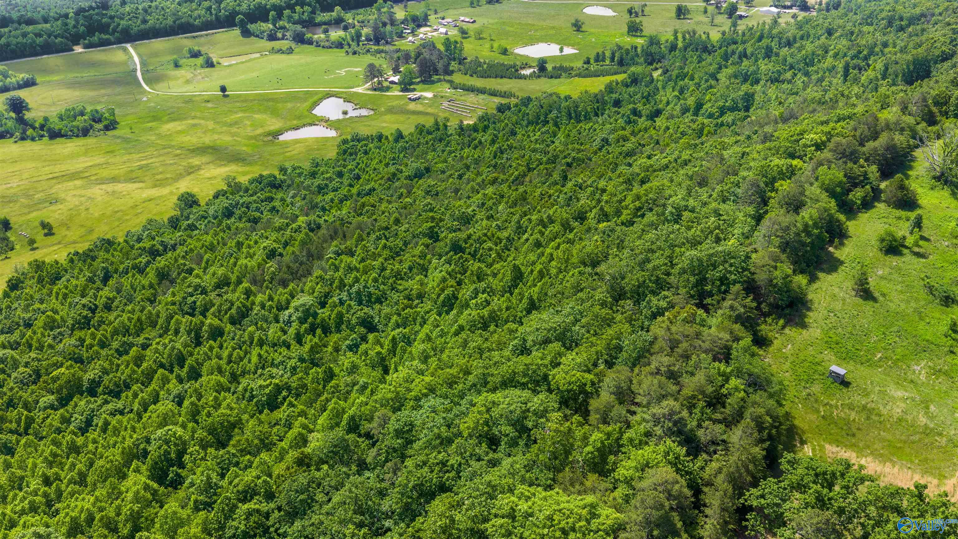 1048 County Road 730