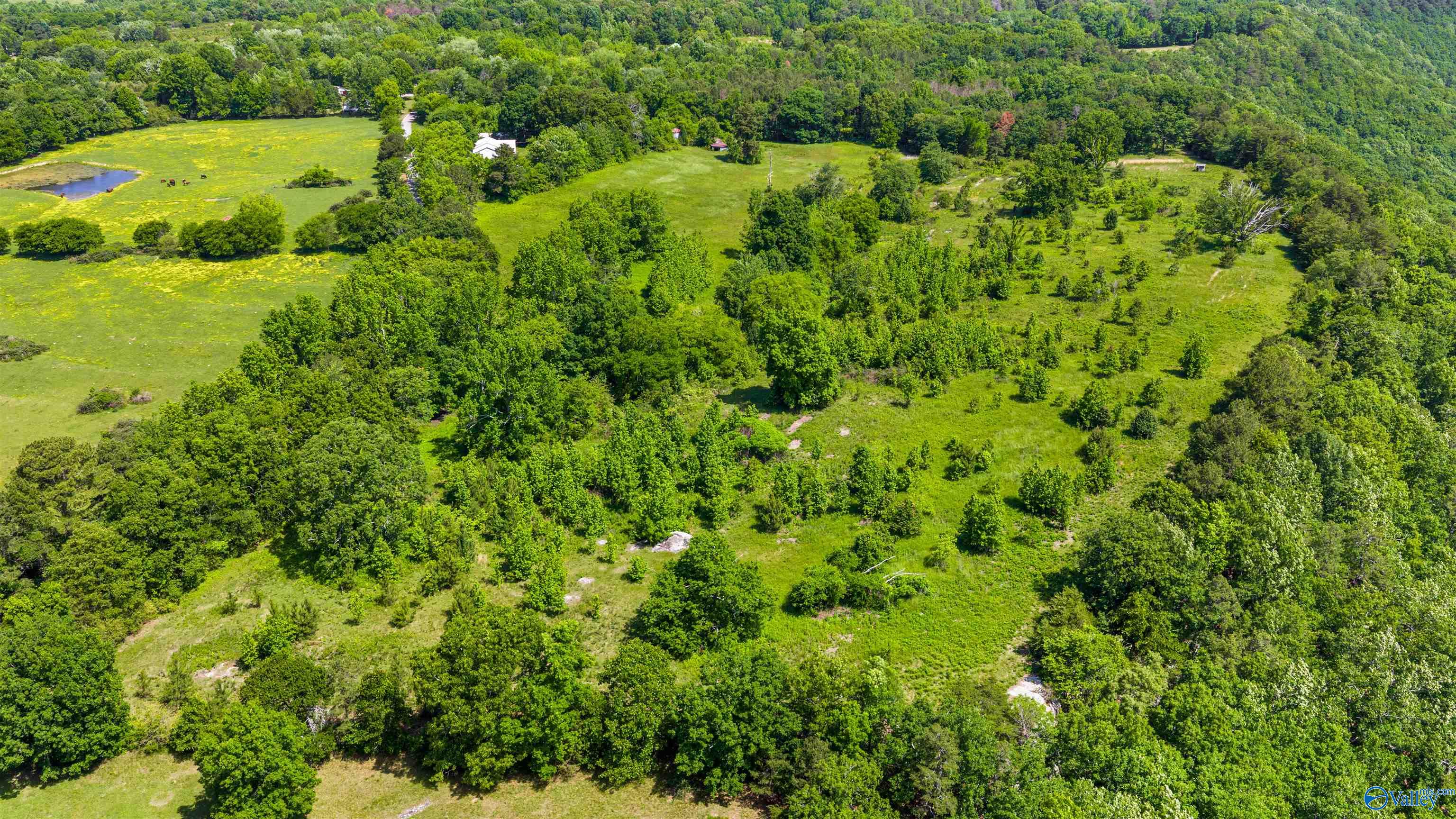 1048 County Road 730