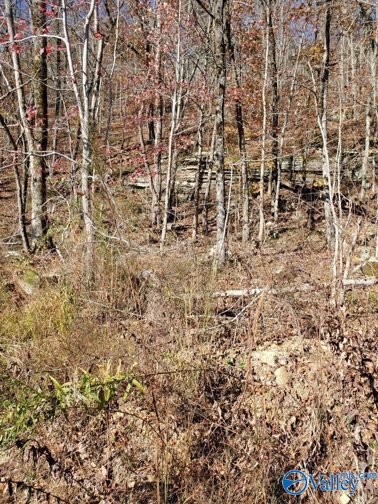 1048 County Road 730