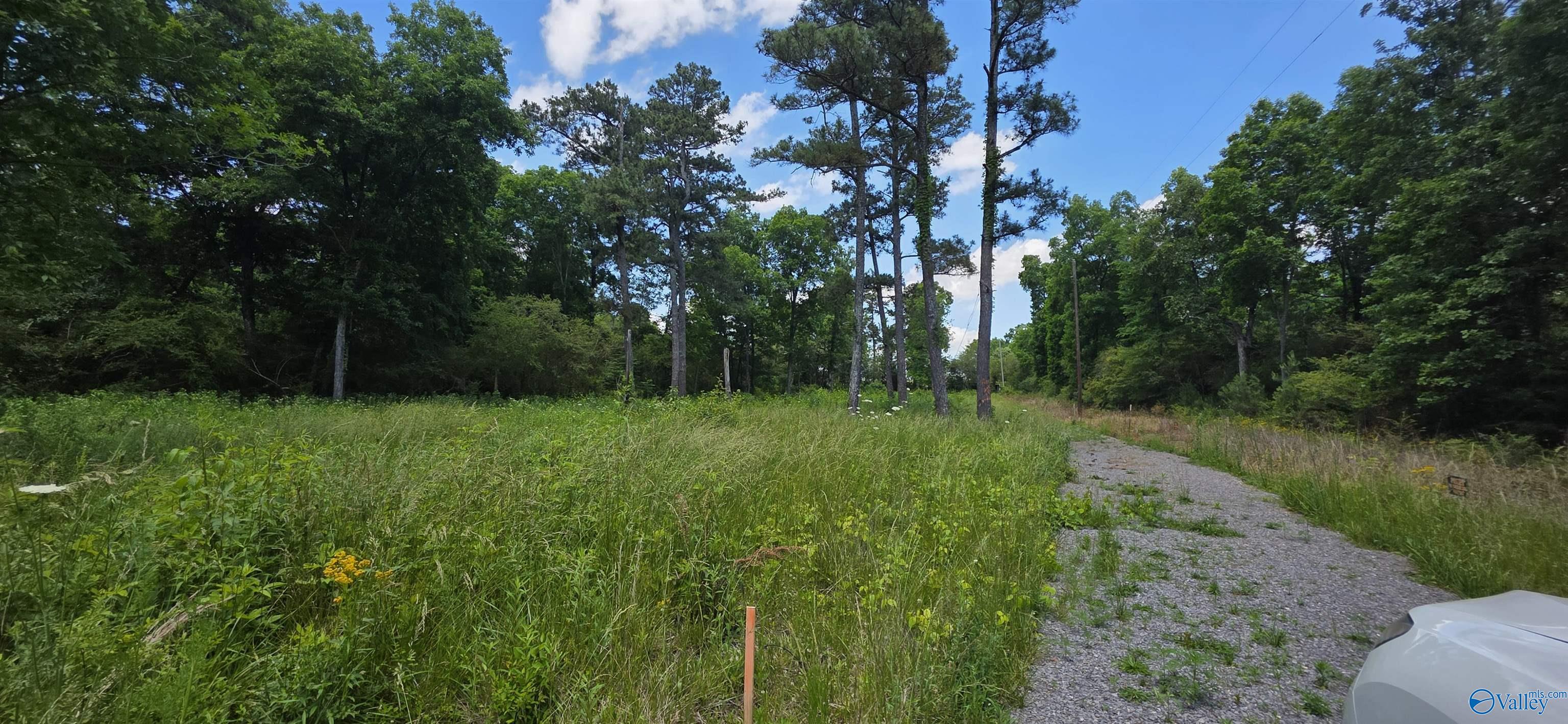 Lot 1 Shankles Circle