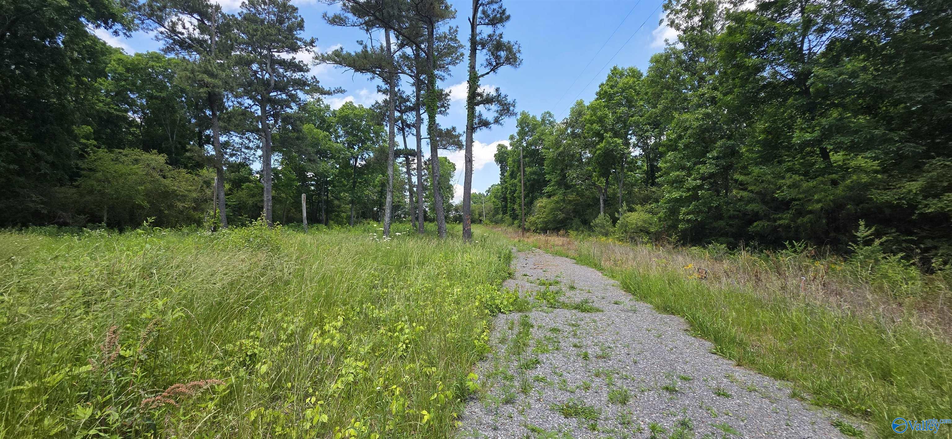 Lot 1 Shankles Circle