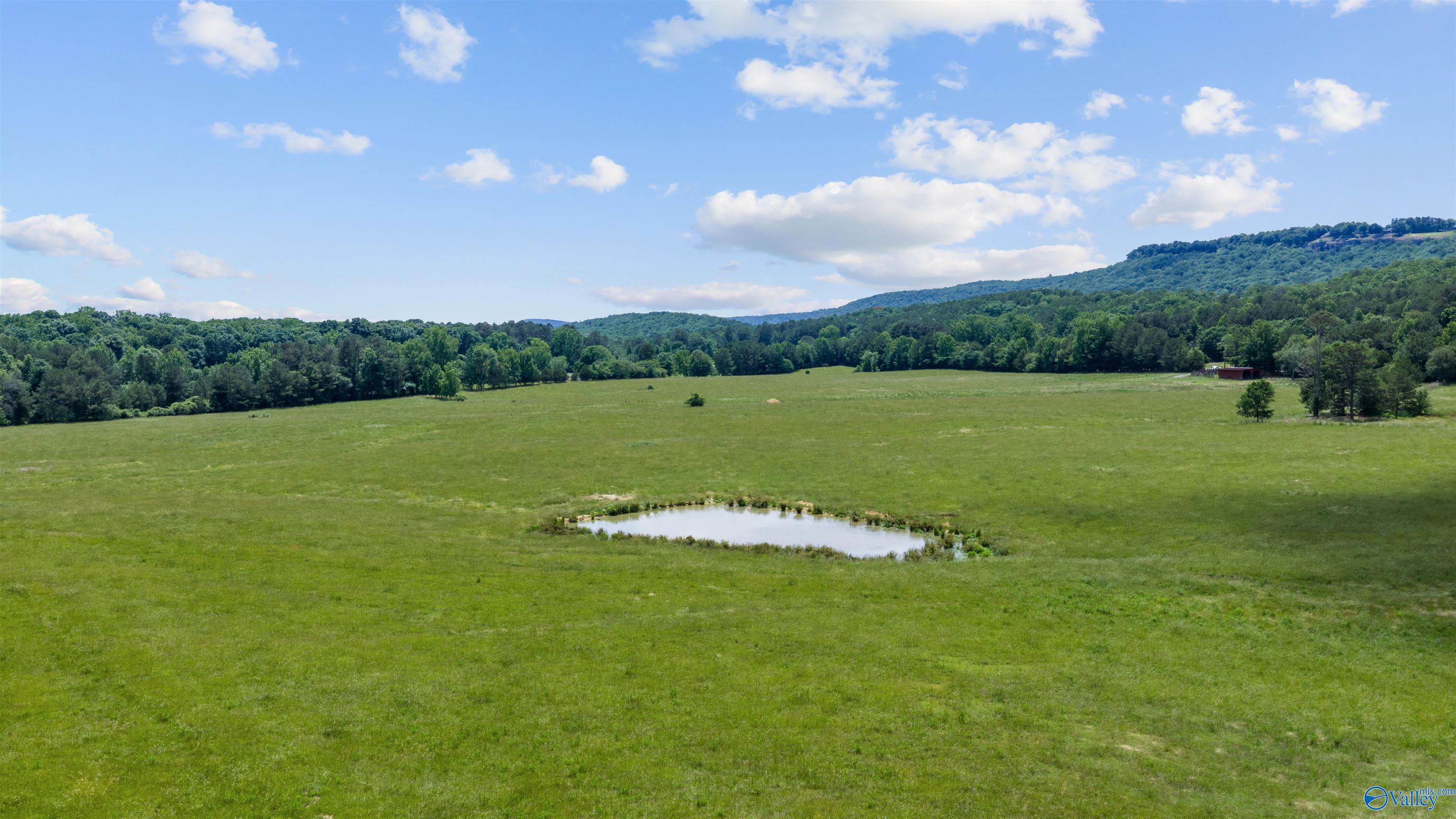 110 ACRES County Road 15