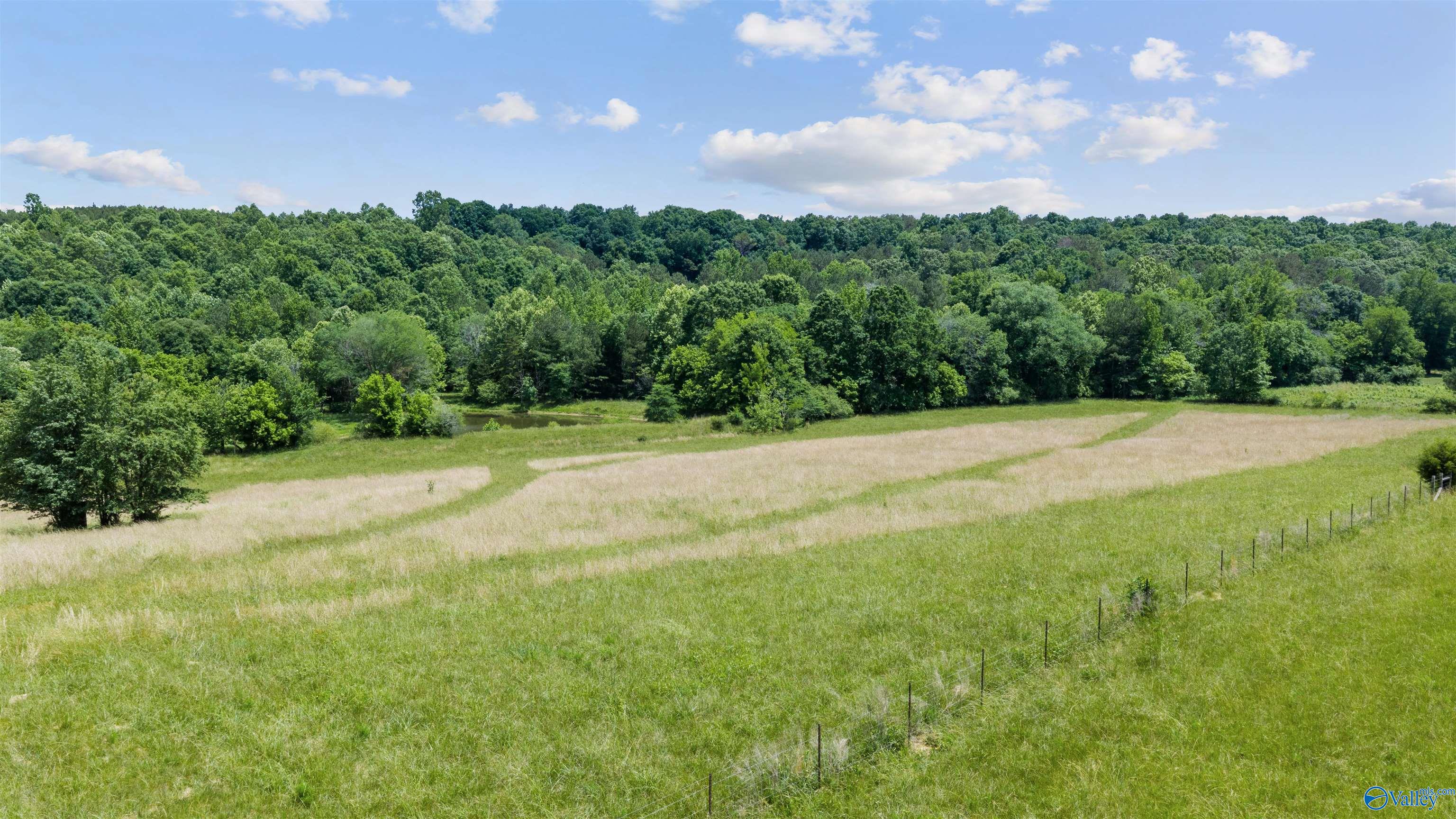 110 ACRES County Road 15