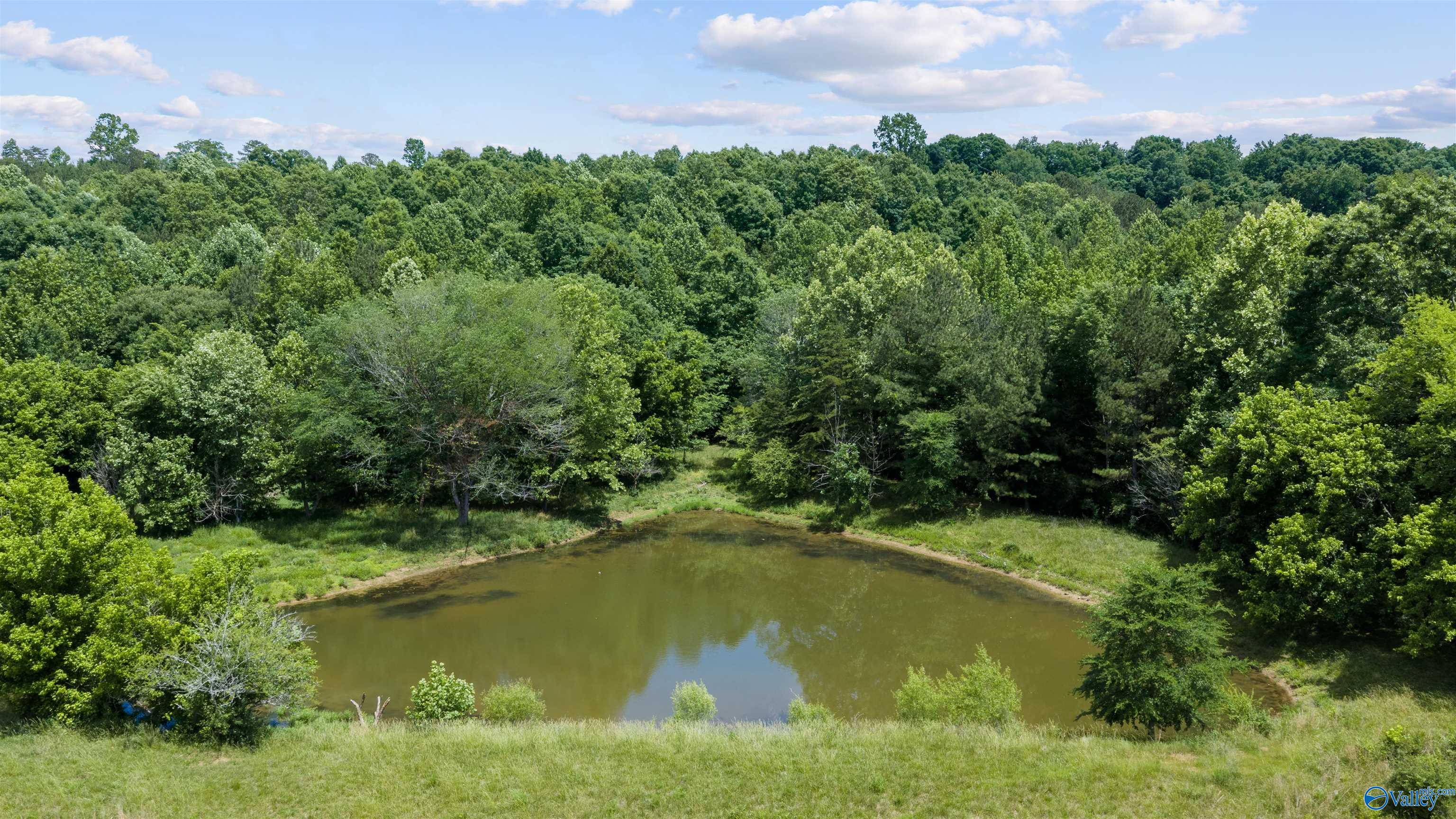 110 ACRES County Road 15