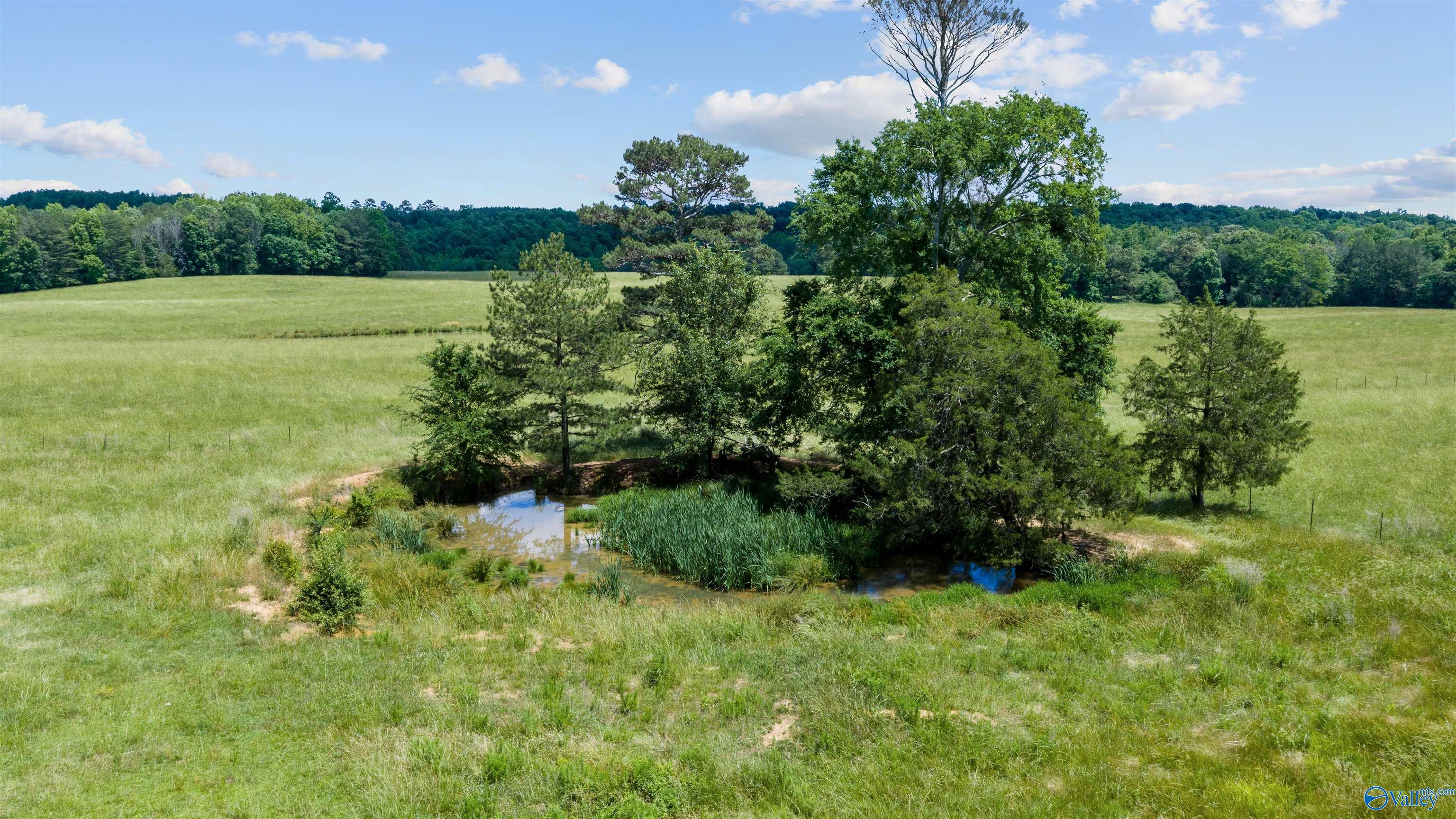 110 ACRES County Road 15