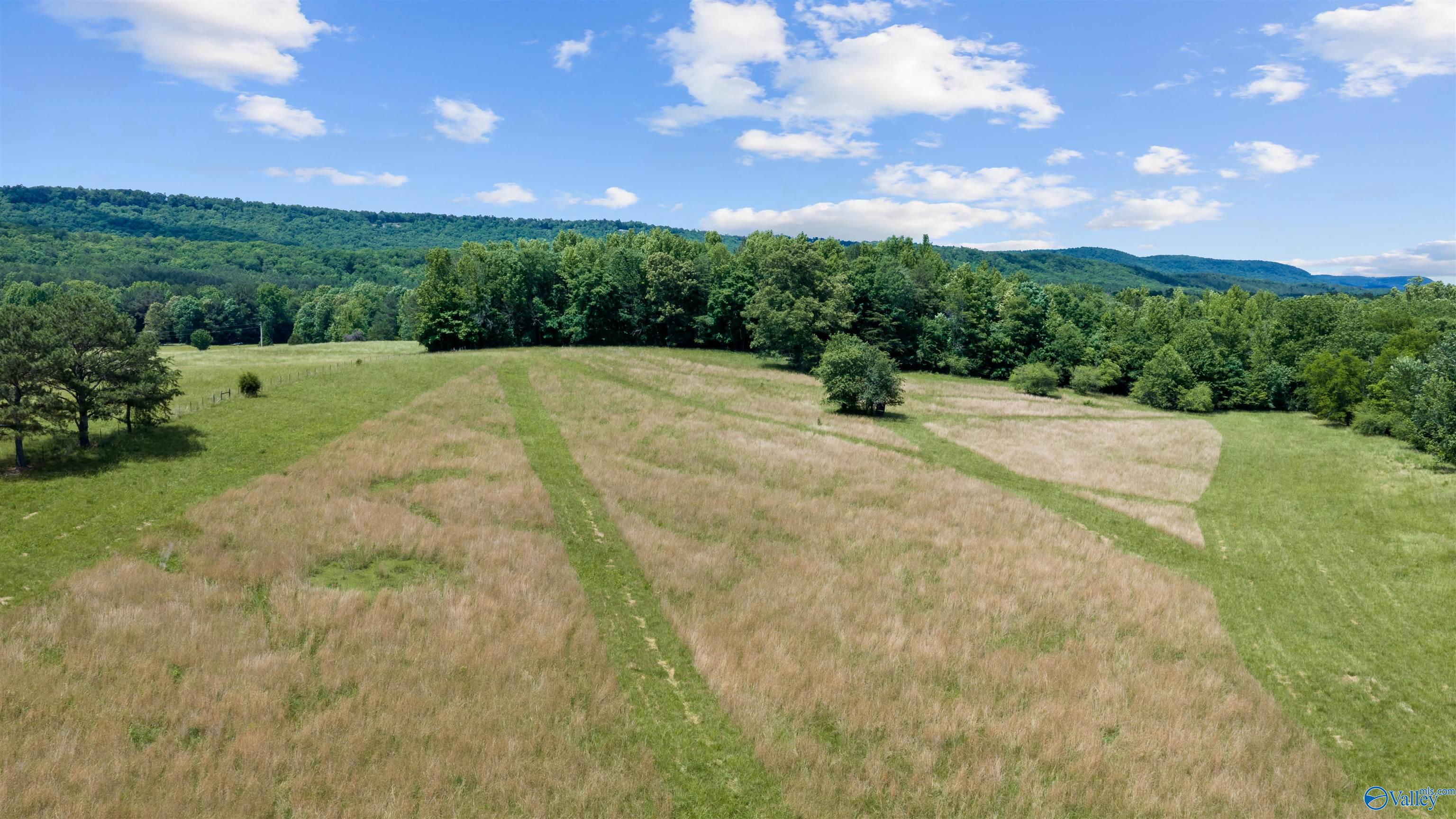 110 ACRES County Road 15
