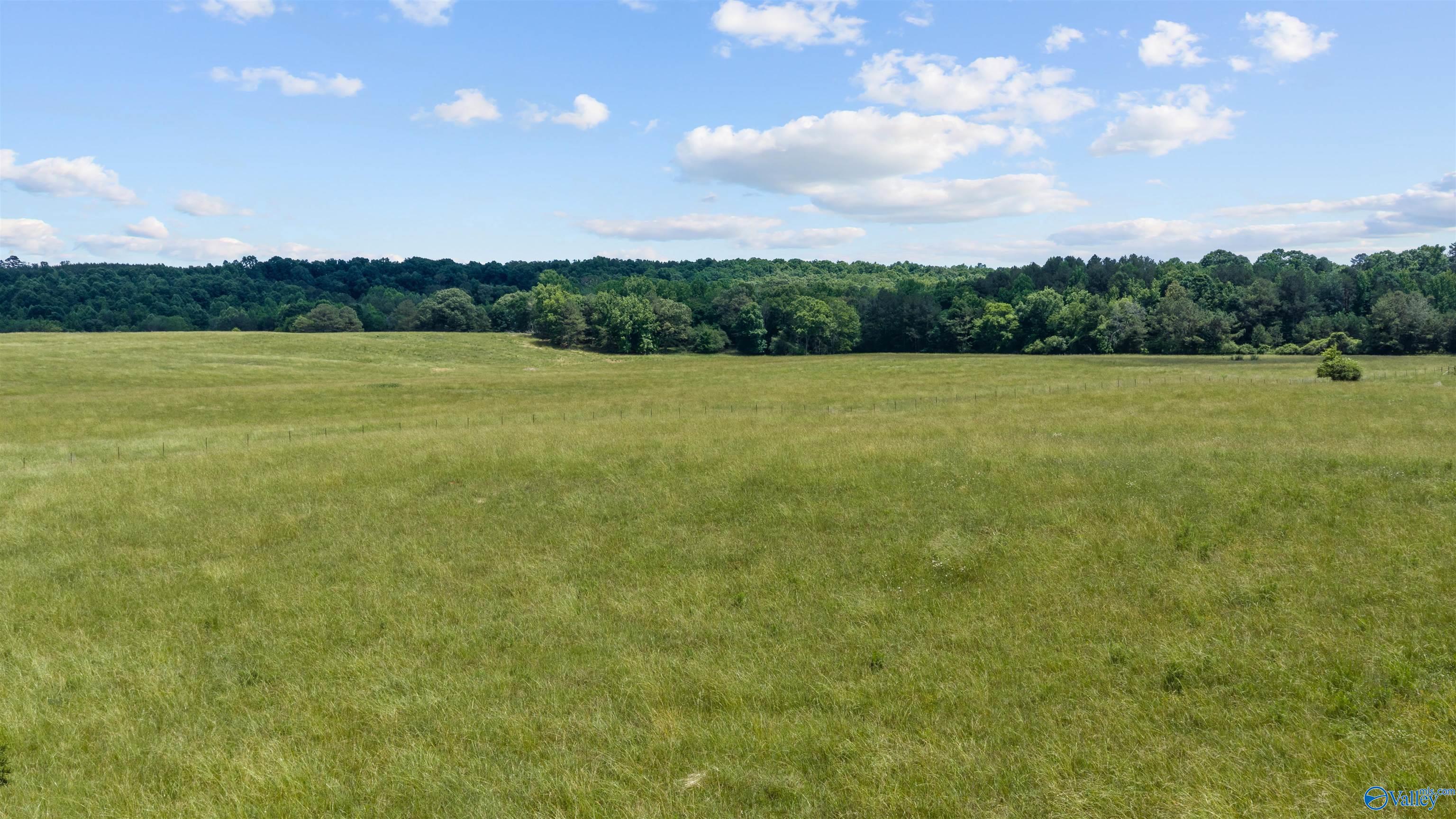 110 ACRES County Road 15
