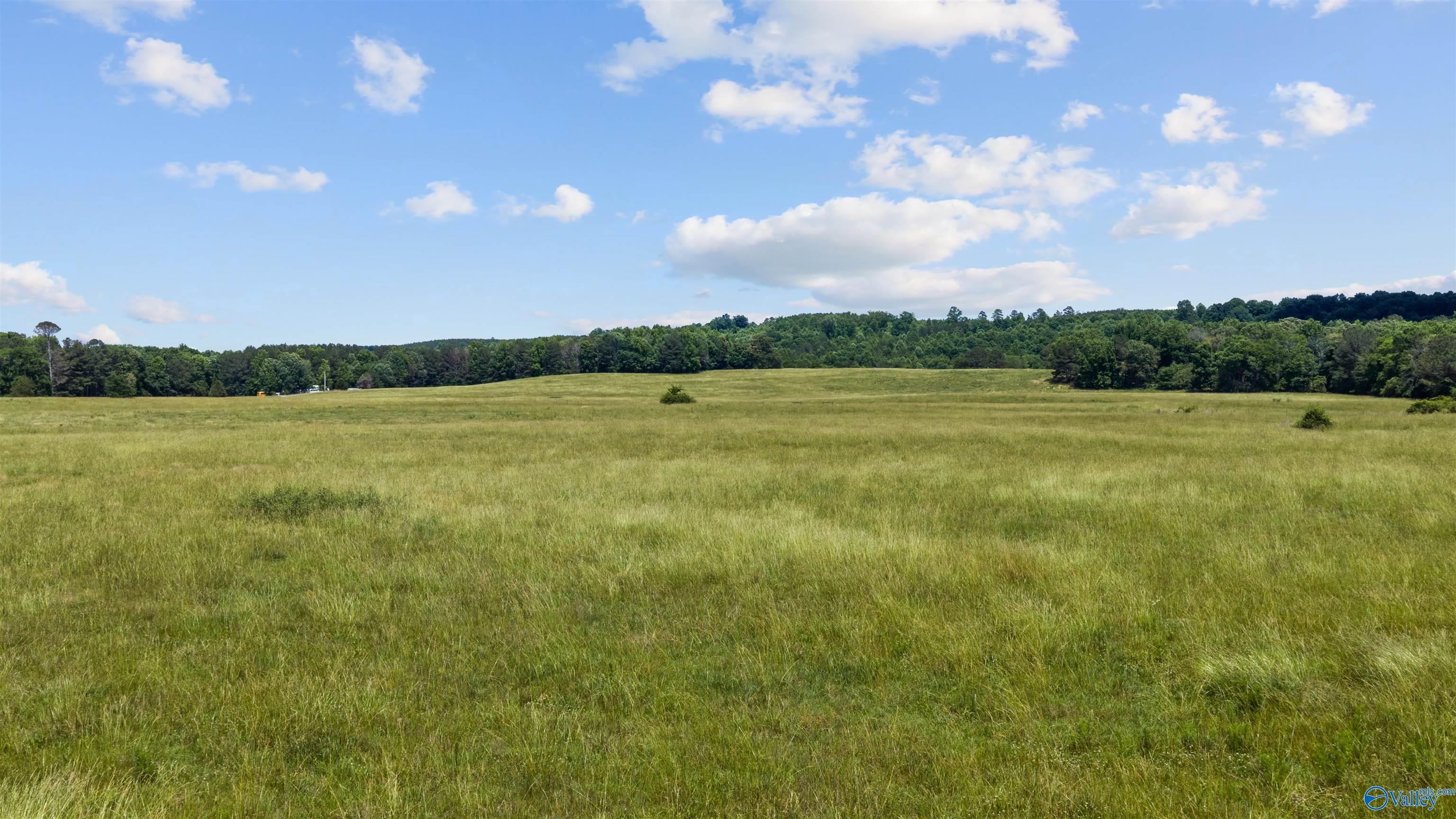 110 ACRES County Road 15