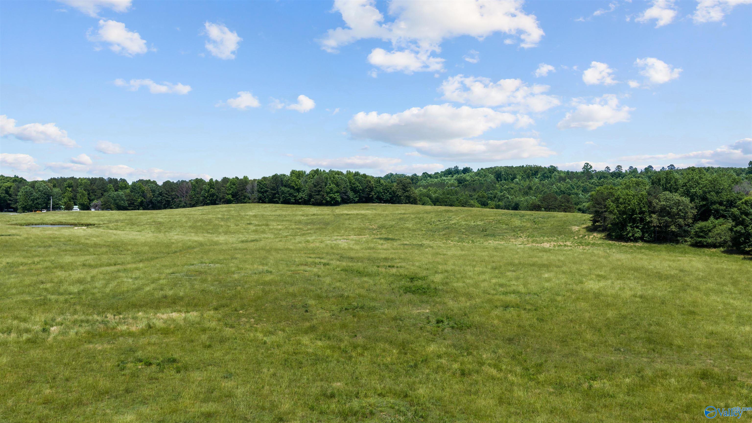 110 ACRES County Road 15
