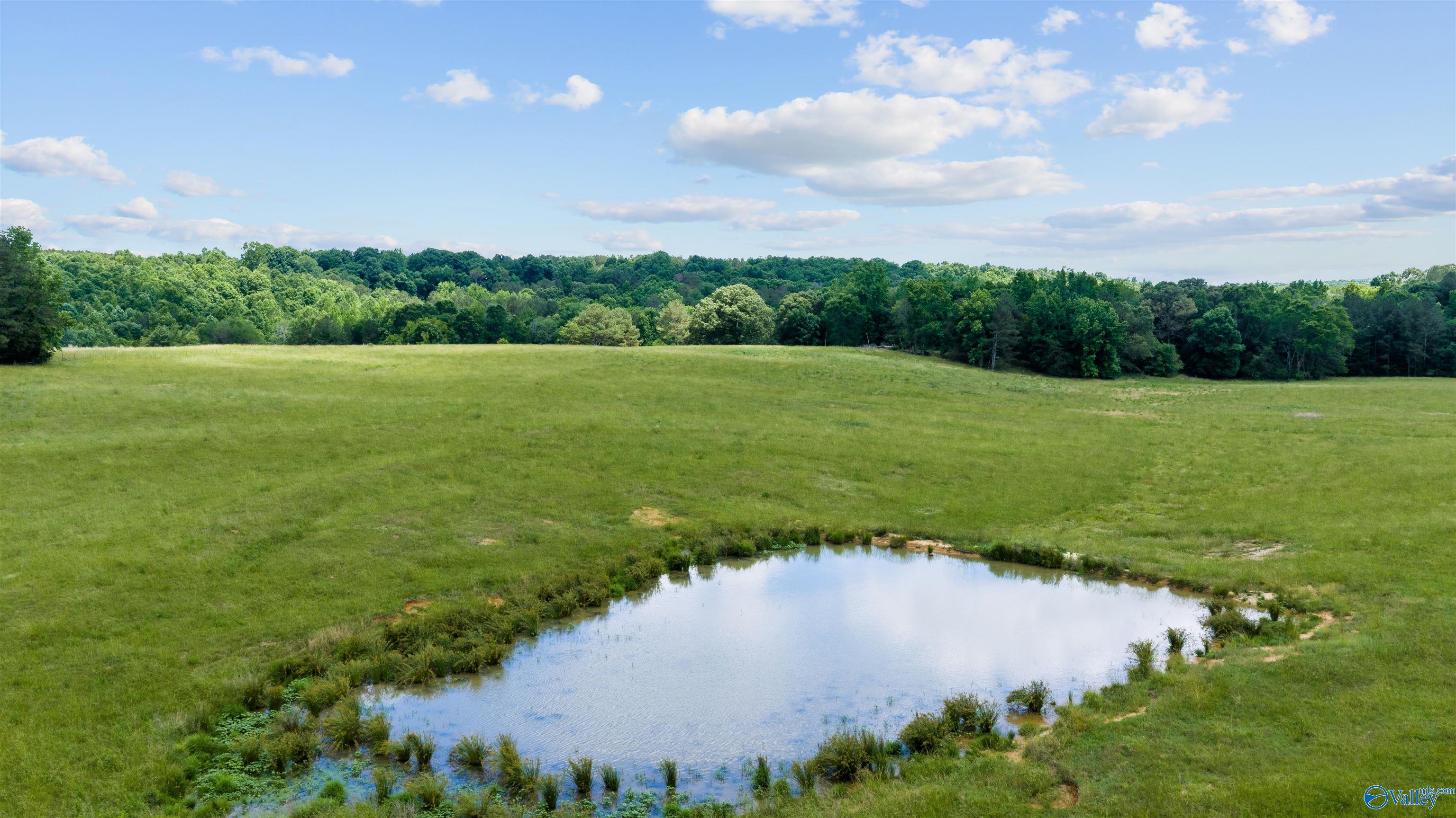 110 ACRES County Road 15