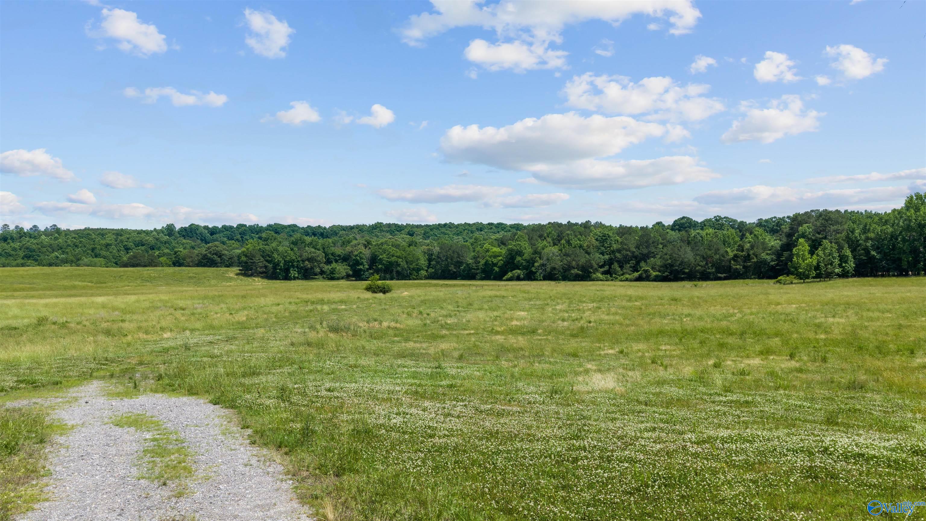110 ACRES County Road 15