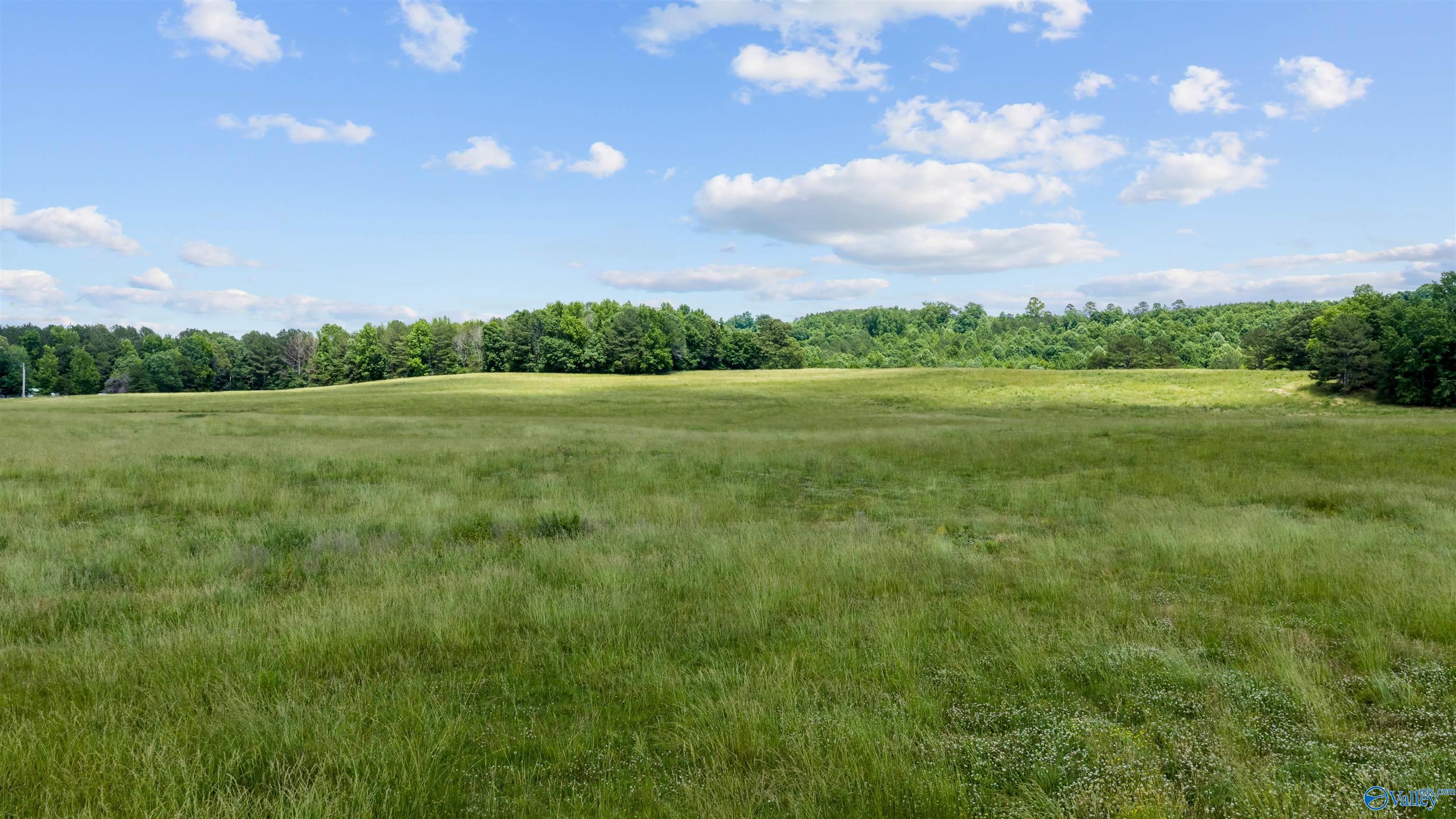 110 ACRES County Road 15