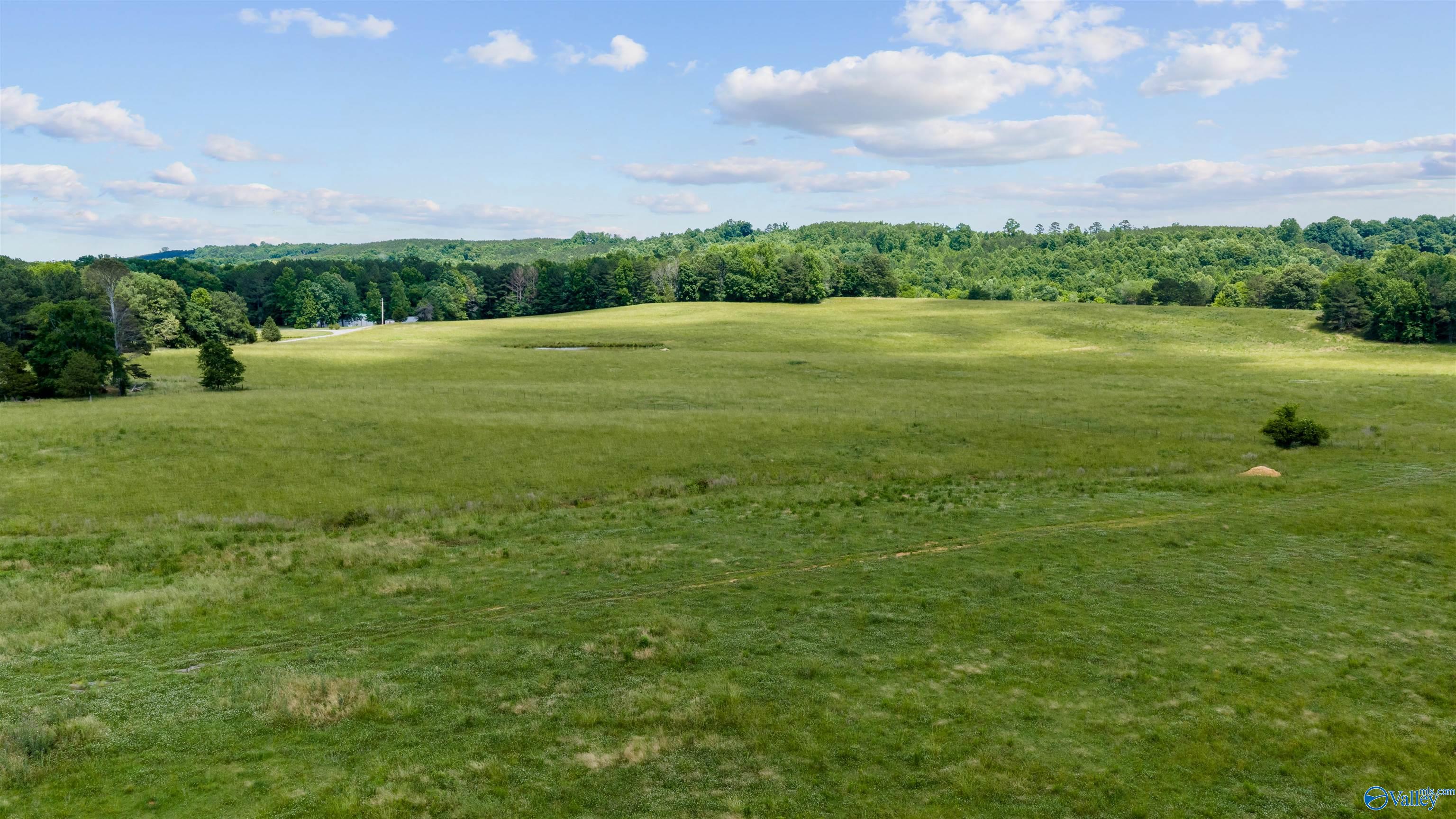 110 ACRES County Road 15